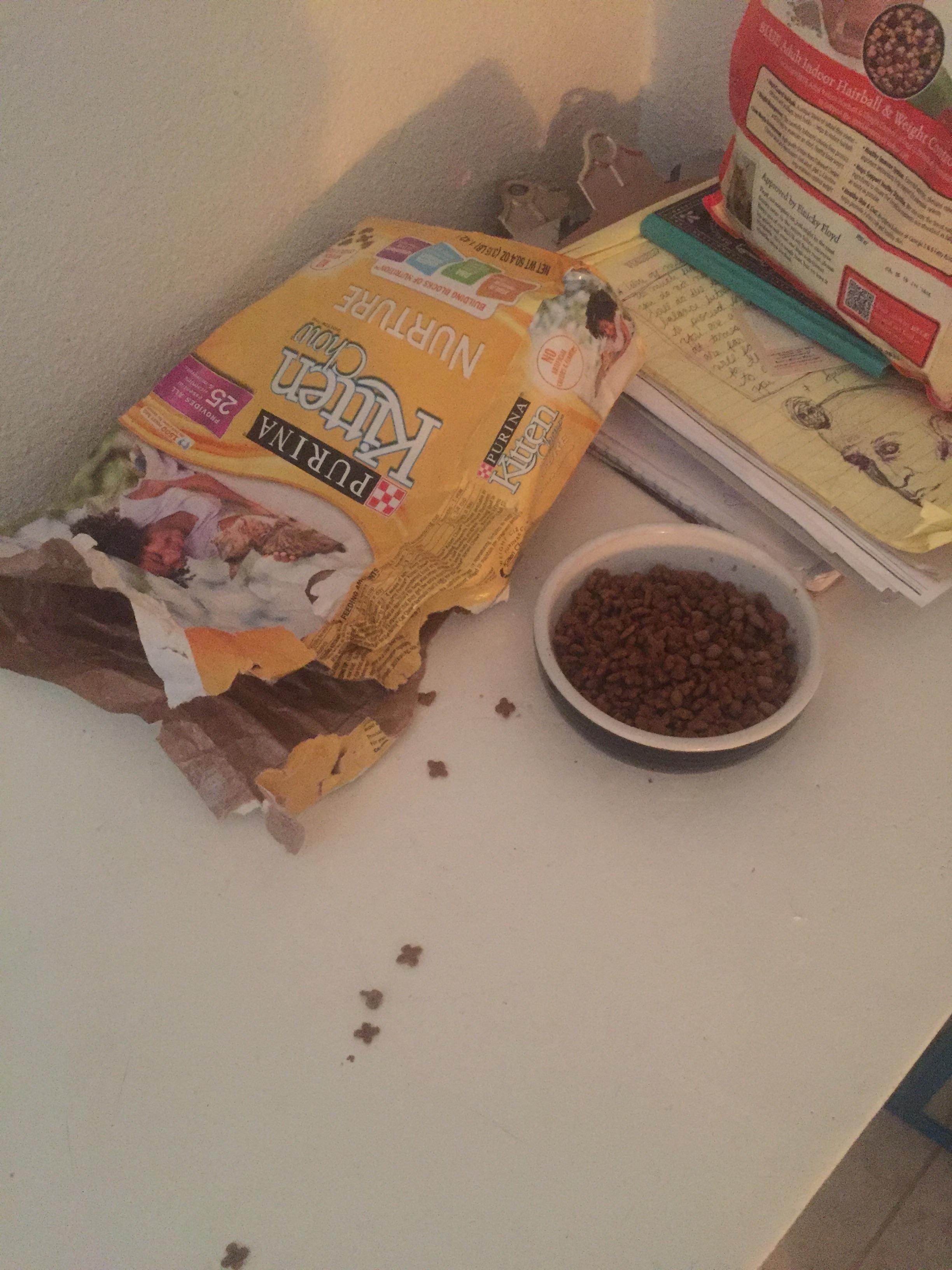 My cat ripped open the bad of food to get the food out...right next to