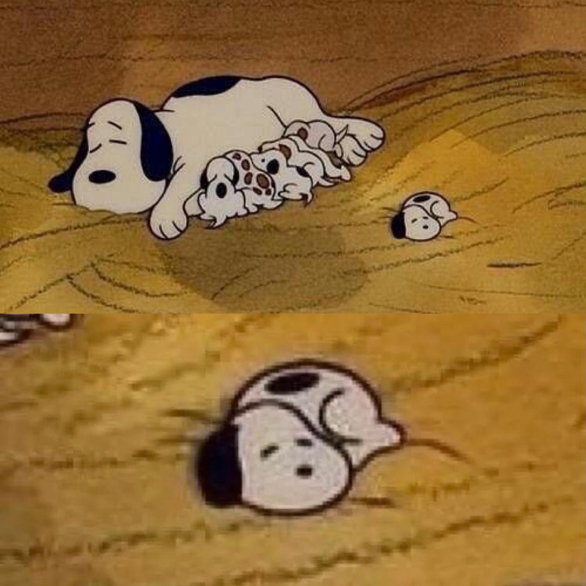 Snoopy Baby Pictures