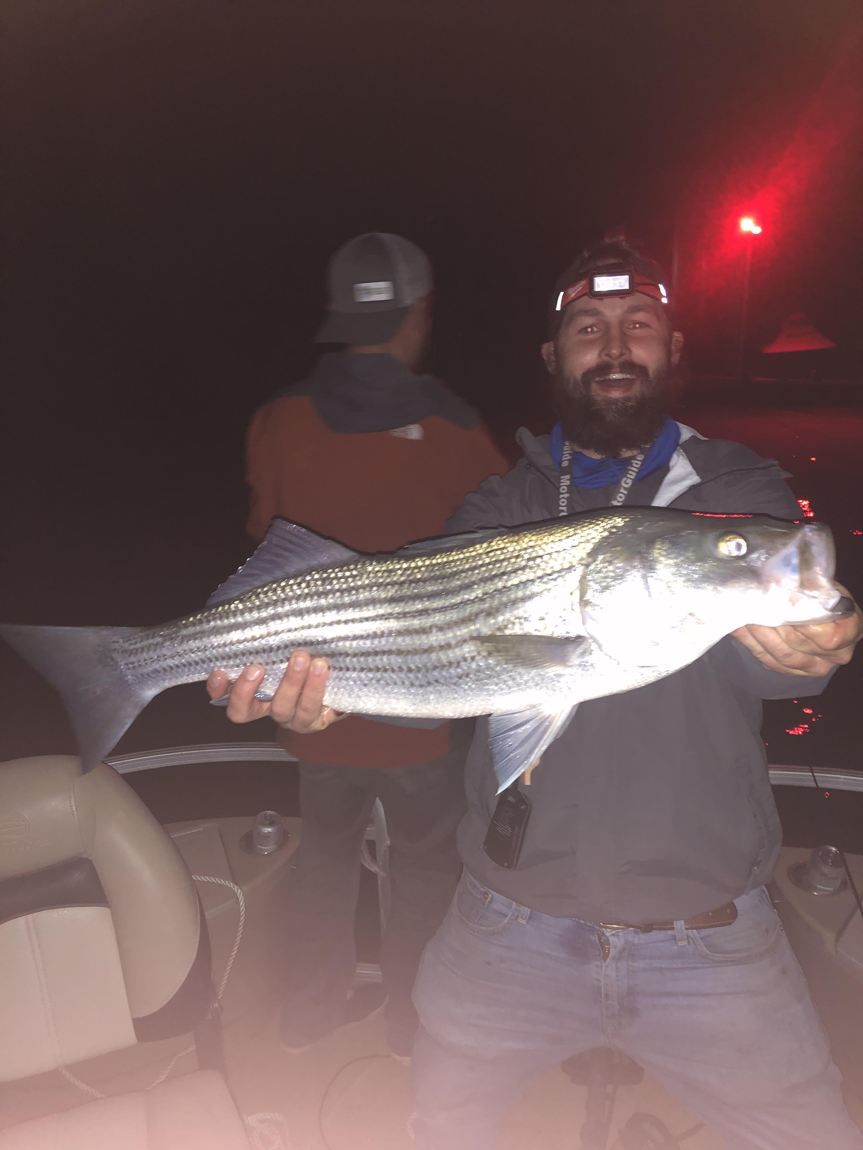 My friend caught this striper last night in lake Travis. The biggest