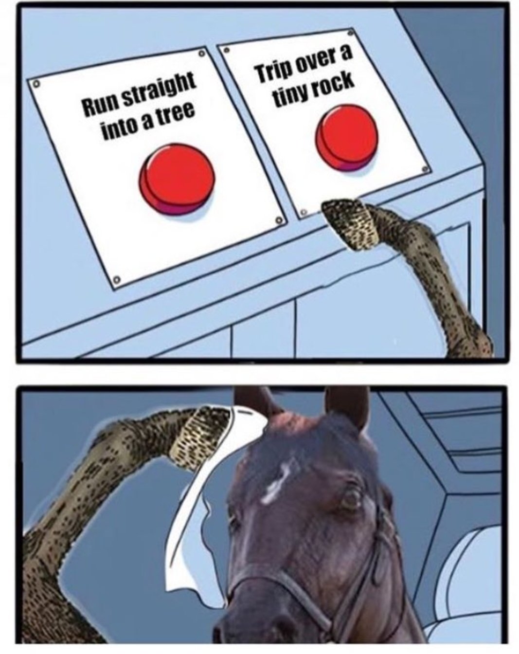 Horses in the game in a nutshell r/reddeadredemption