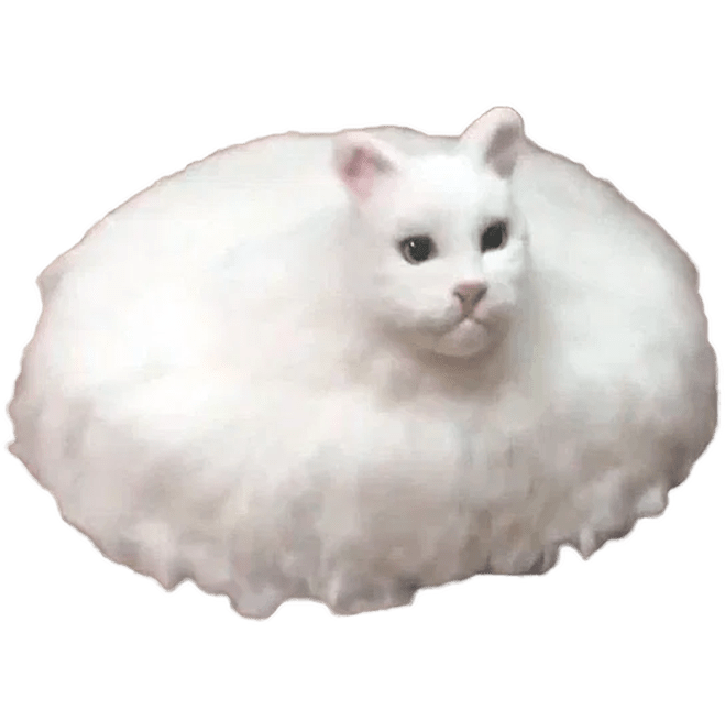 Cat Roomba PNG r/catroomba