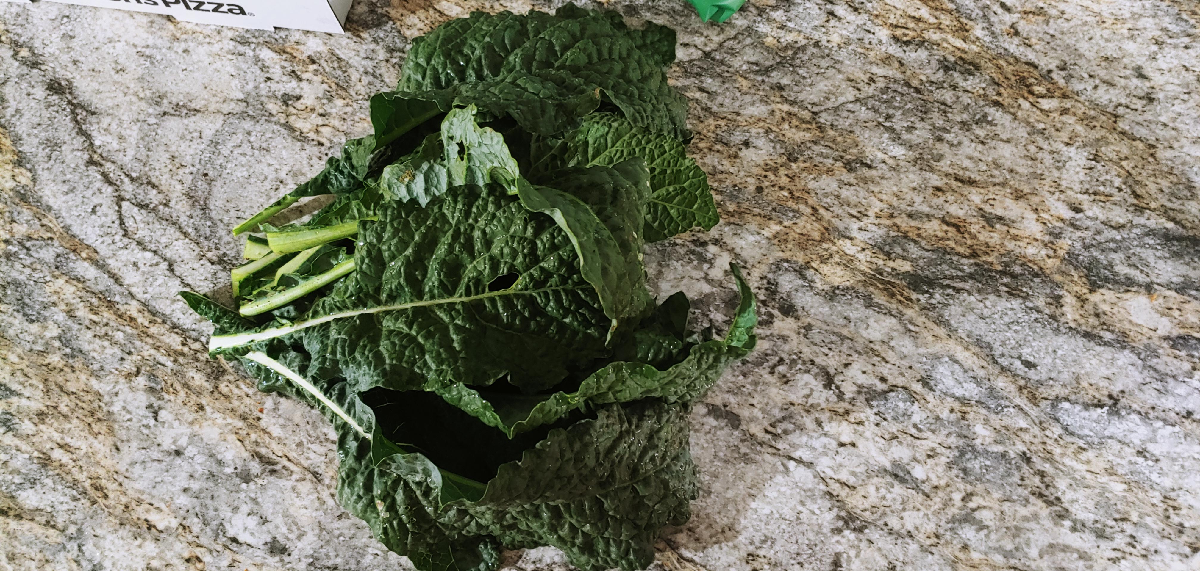 Third hull of nero kale in the last 2 weeks (Zone 7a) r/gardening
