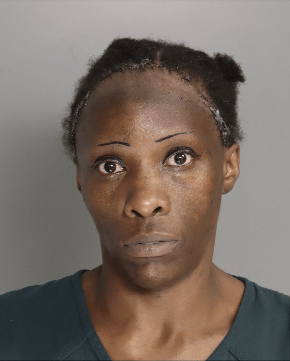 Mugshot. No, they weren't arrested for their eyebrows. r/awfuleyebrows