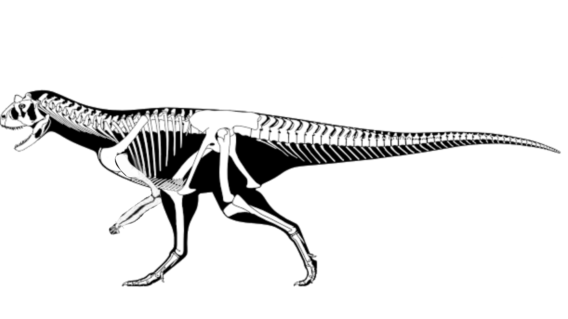 Carnotaurus with big arms but tiny hands r/Dinosaurs