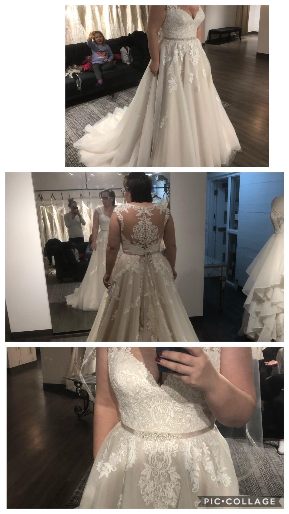 It has finally arrived! wedding
