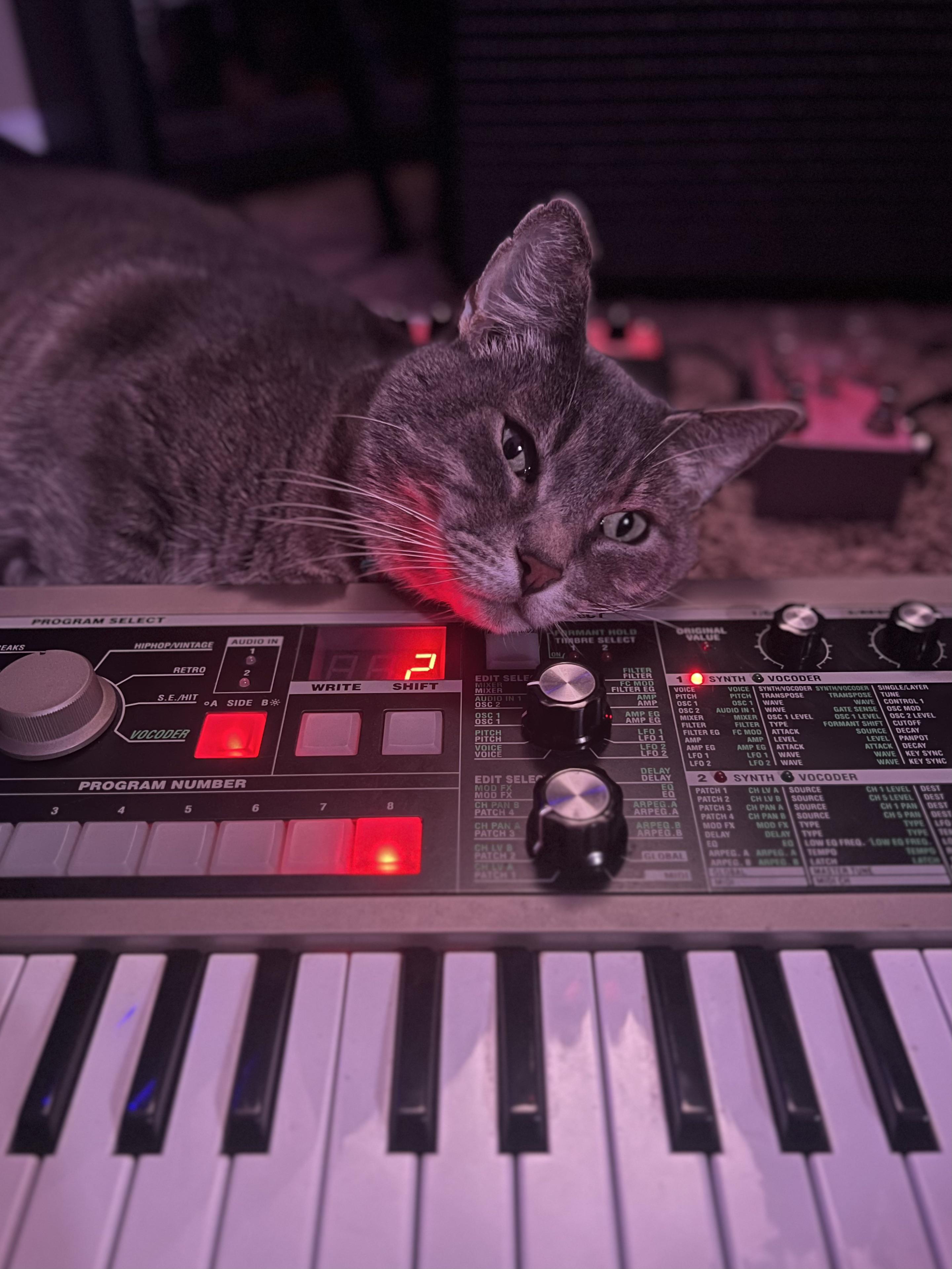He claims the r/synthesizers