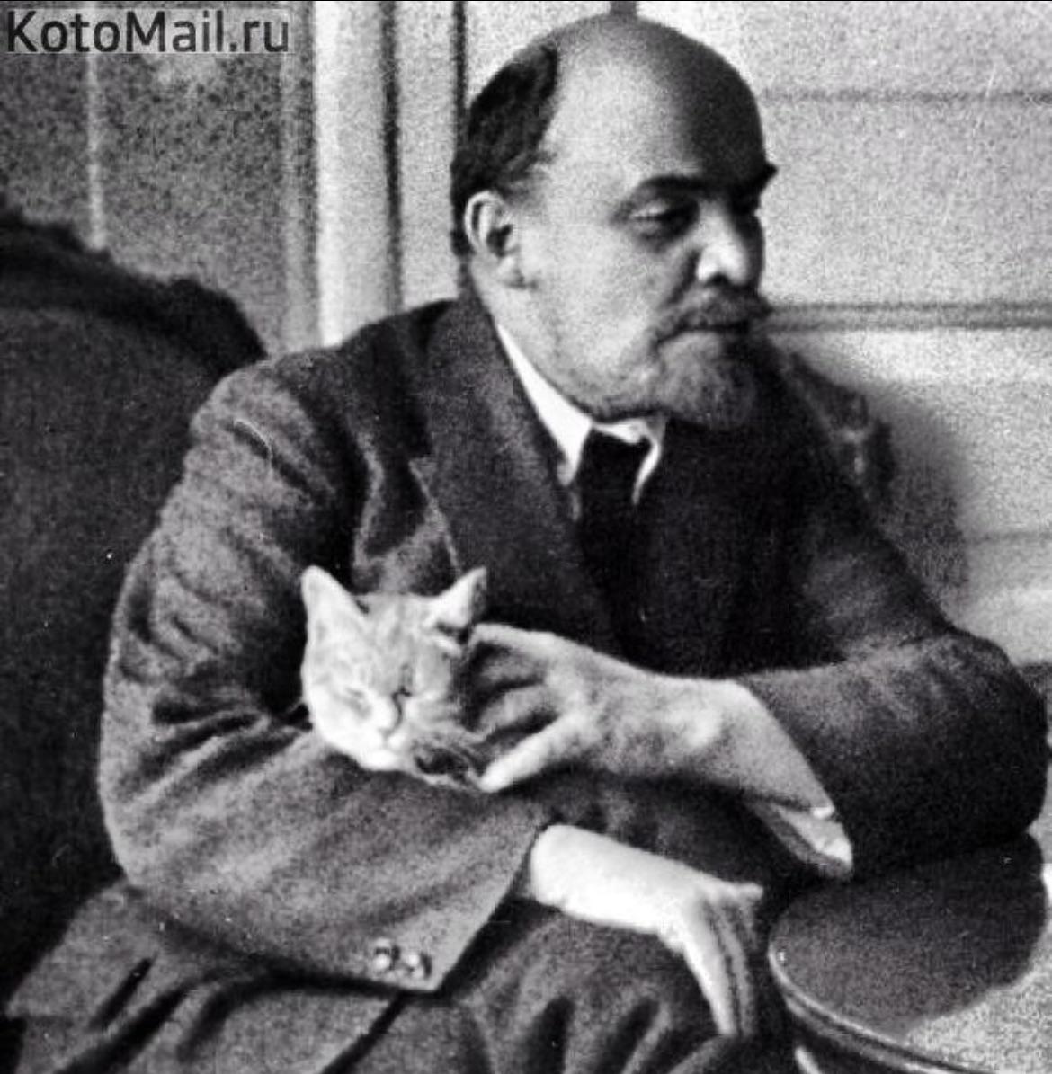 Lenin Cat Template Comrade Lenin Cleans The Earth Of Scum 1920 Poster