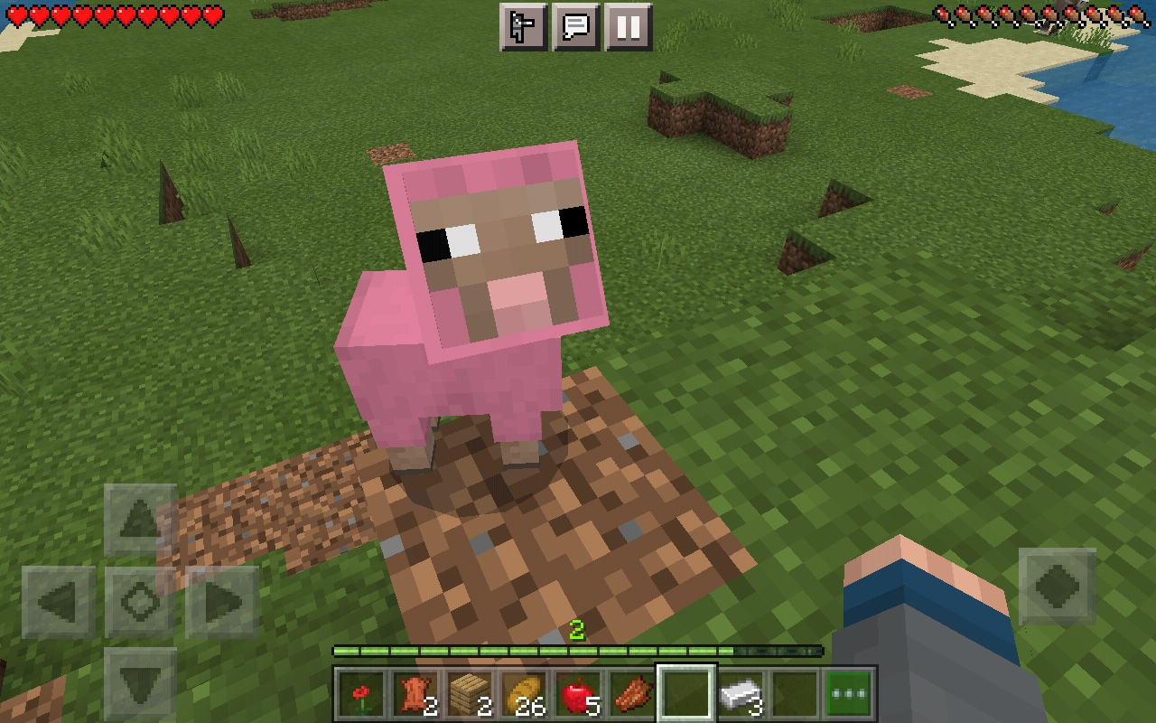Found a rare baby pink sheep r/rareMinecraftmobs