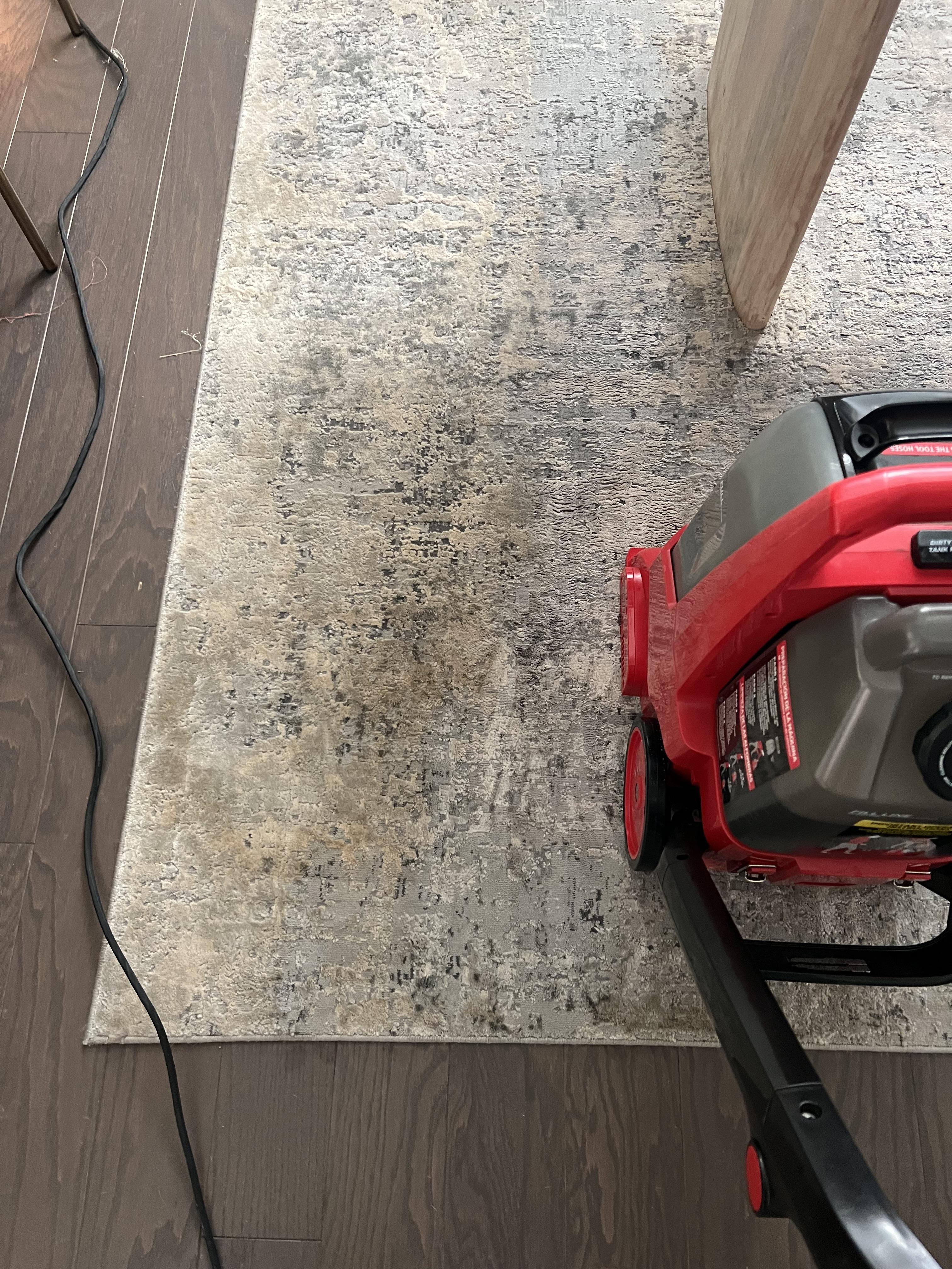 Cleaned carpet smells…worse? r/CleaningTips