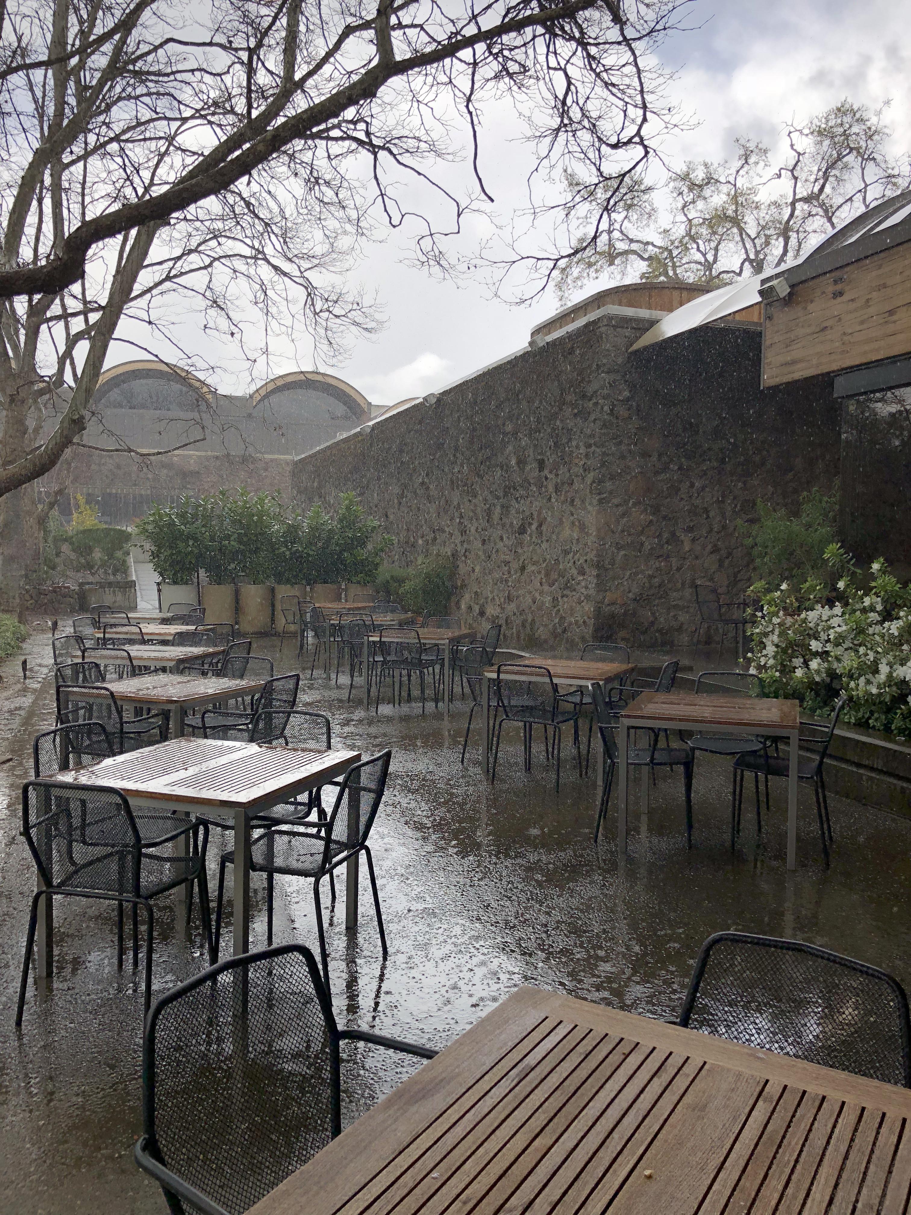 A perfect rainy day in Napa, CA raining