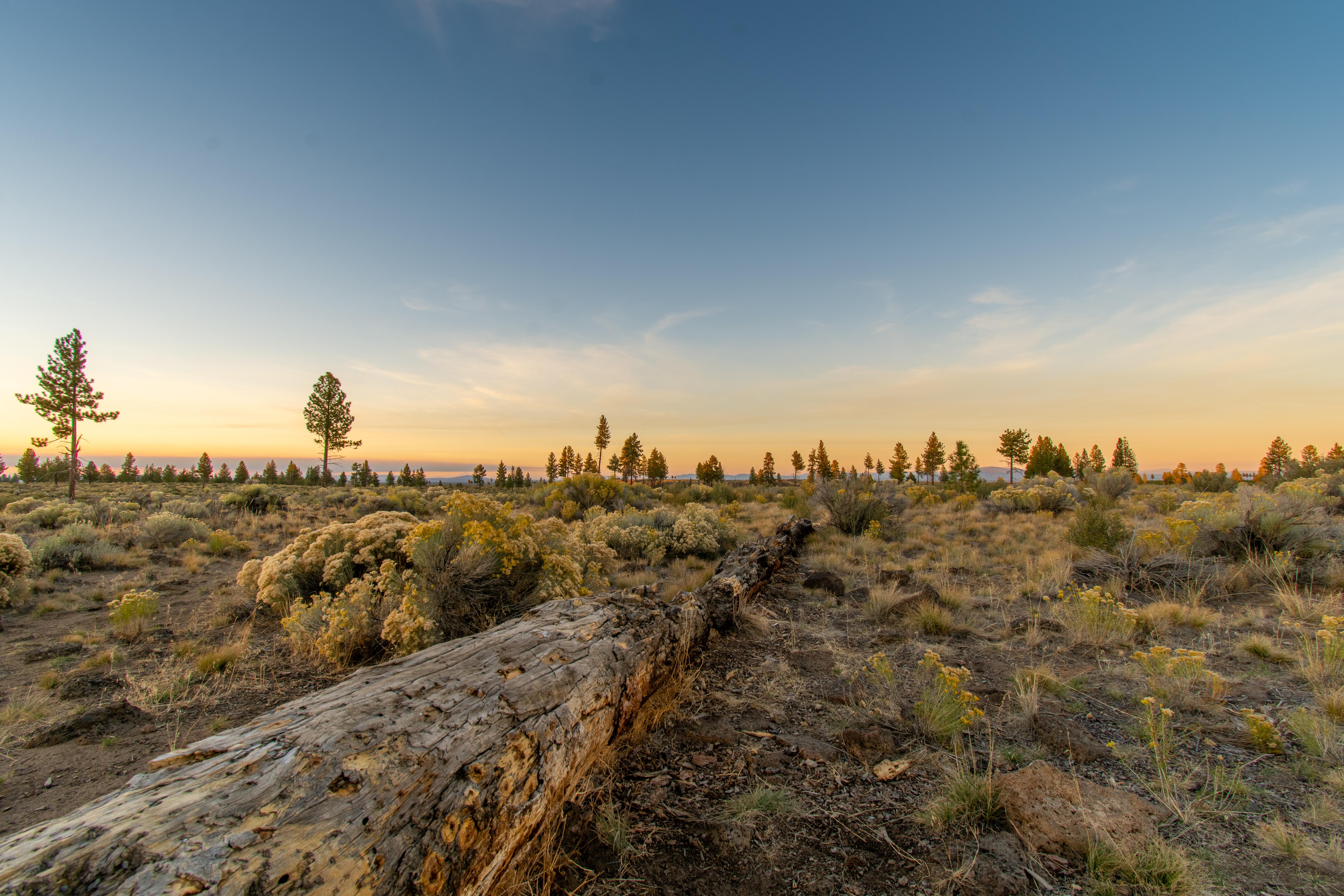 Expose Nature 20190922