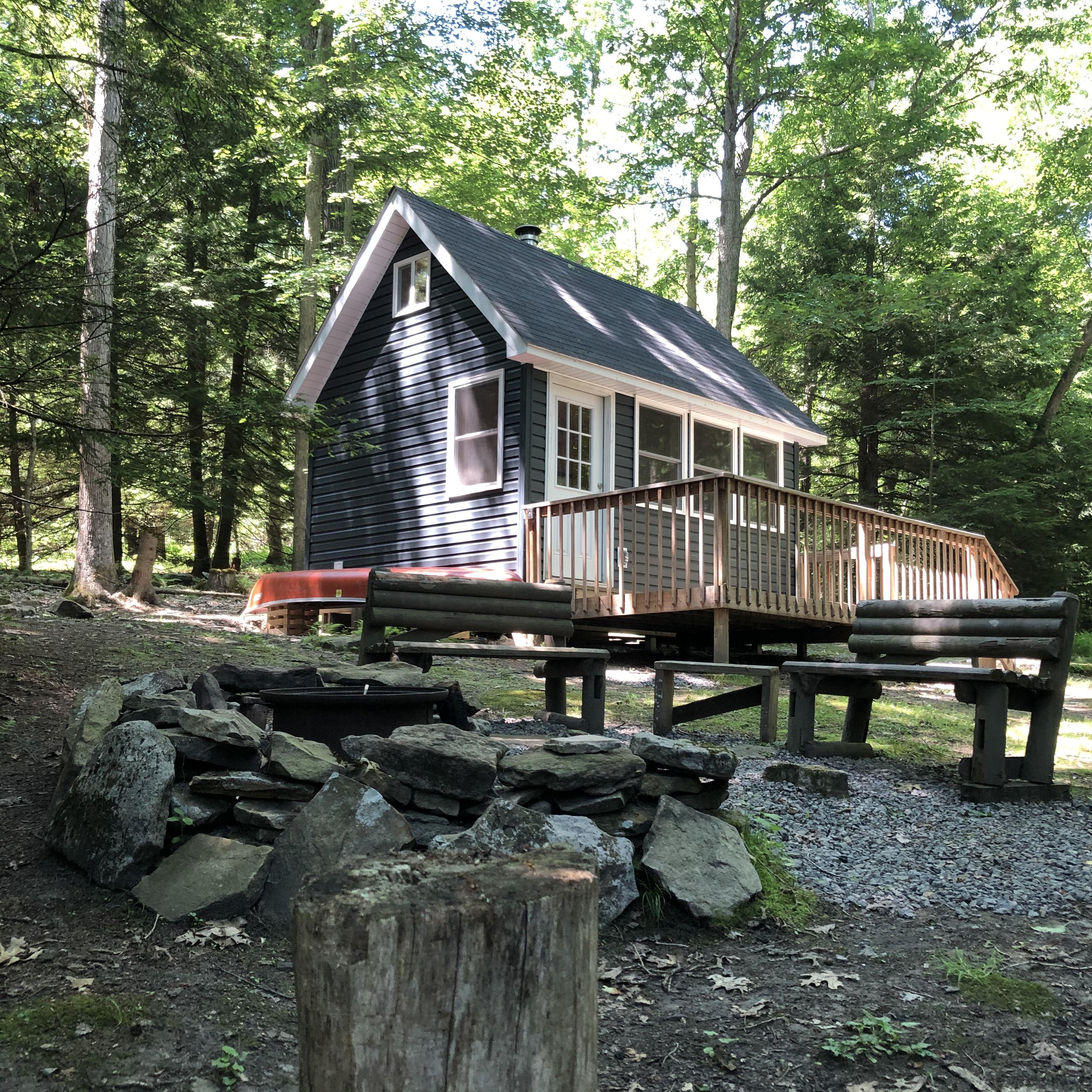 Summer is in full swing at our little cabin in western Pennsylvania