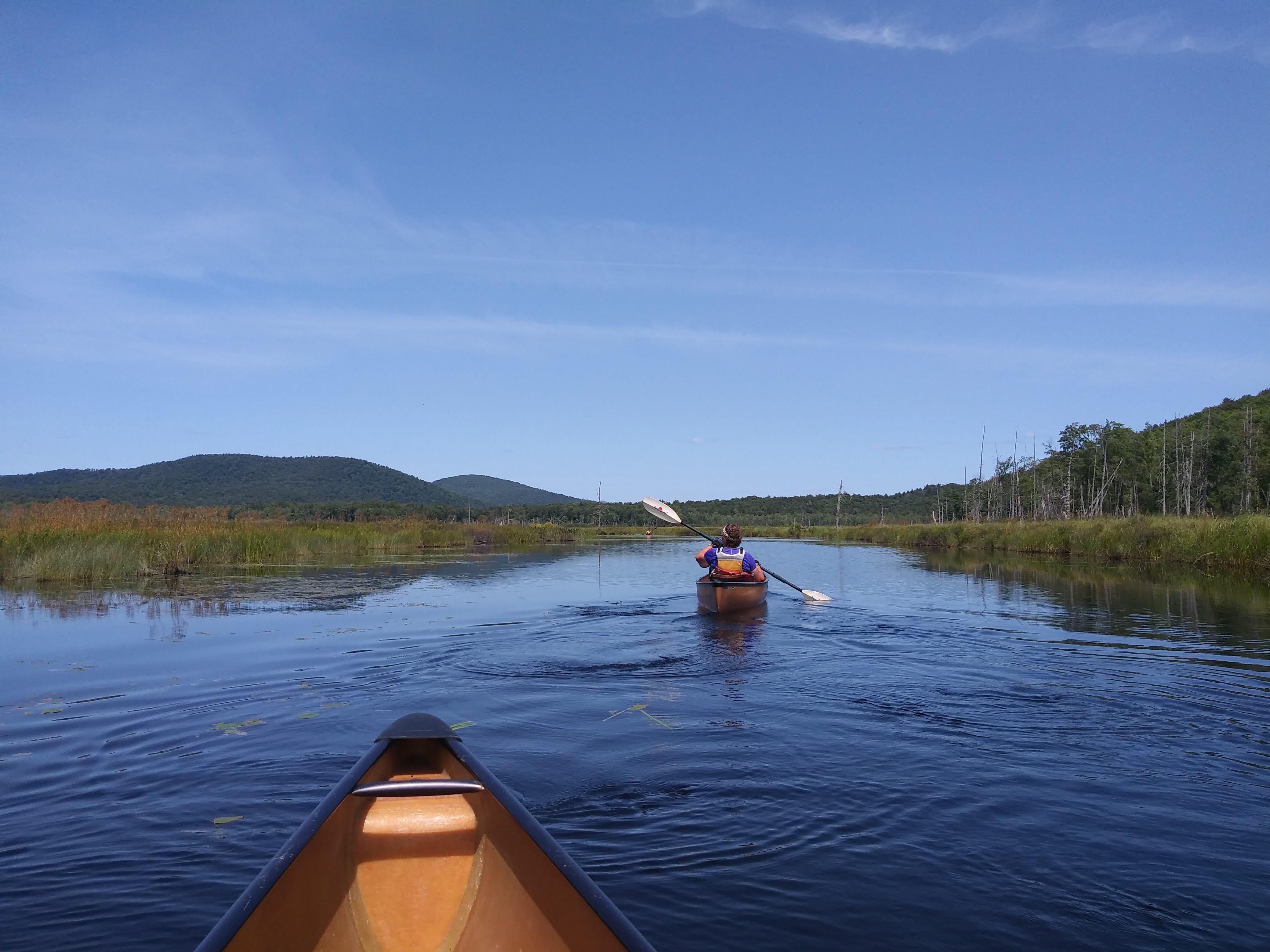 Fall Stream, near Piseco, southern Adirondacks r/Adirondacks