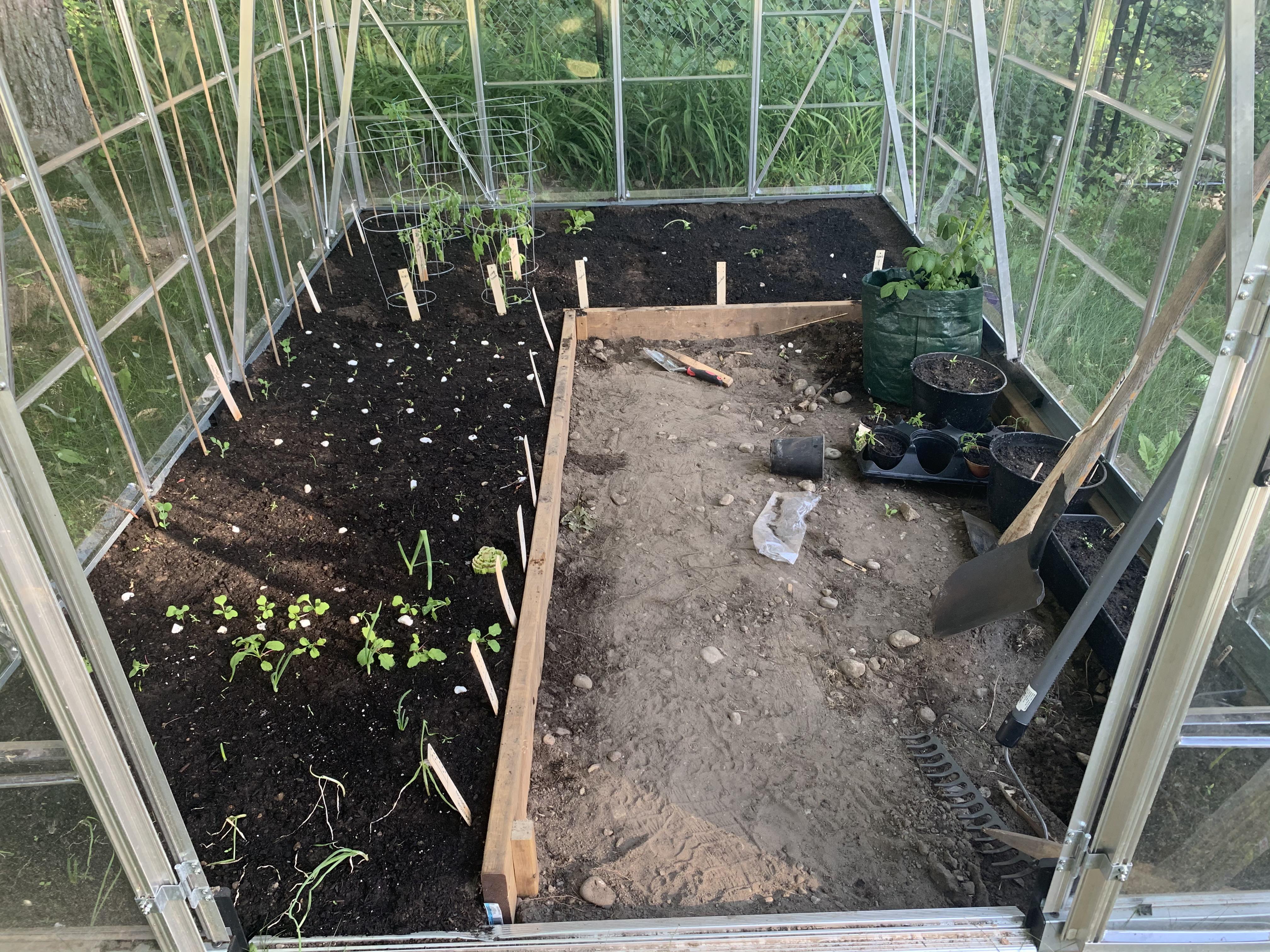 Hubs and I built our first greenhouse! Got a kit from Costco, took us