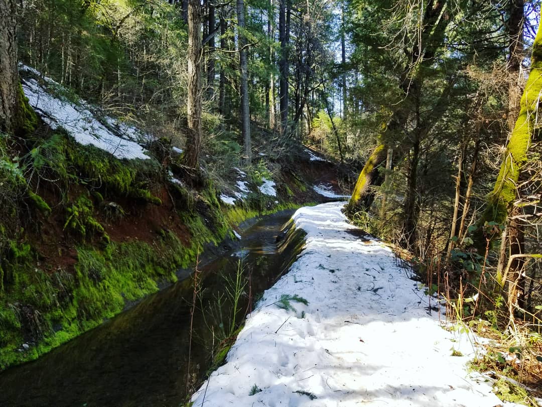 Cascade Canal Trail A Few Weeks Ago Nevada City Ca Campingandhiking