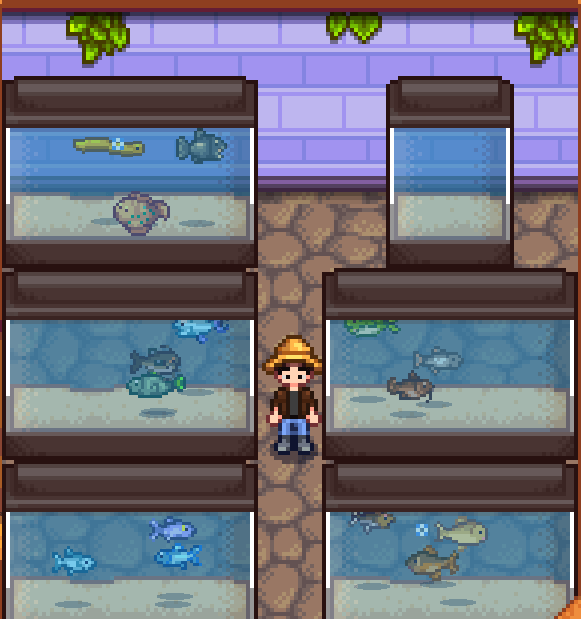 All Iridium Quality Fish caught in Spring. Empty tank set aside for