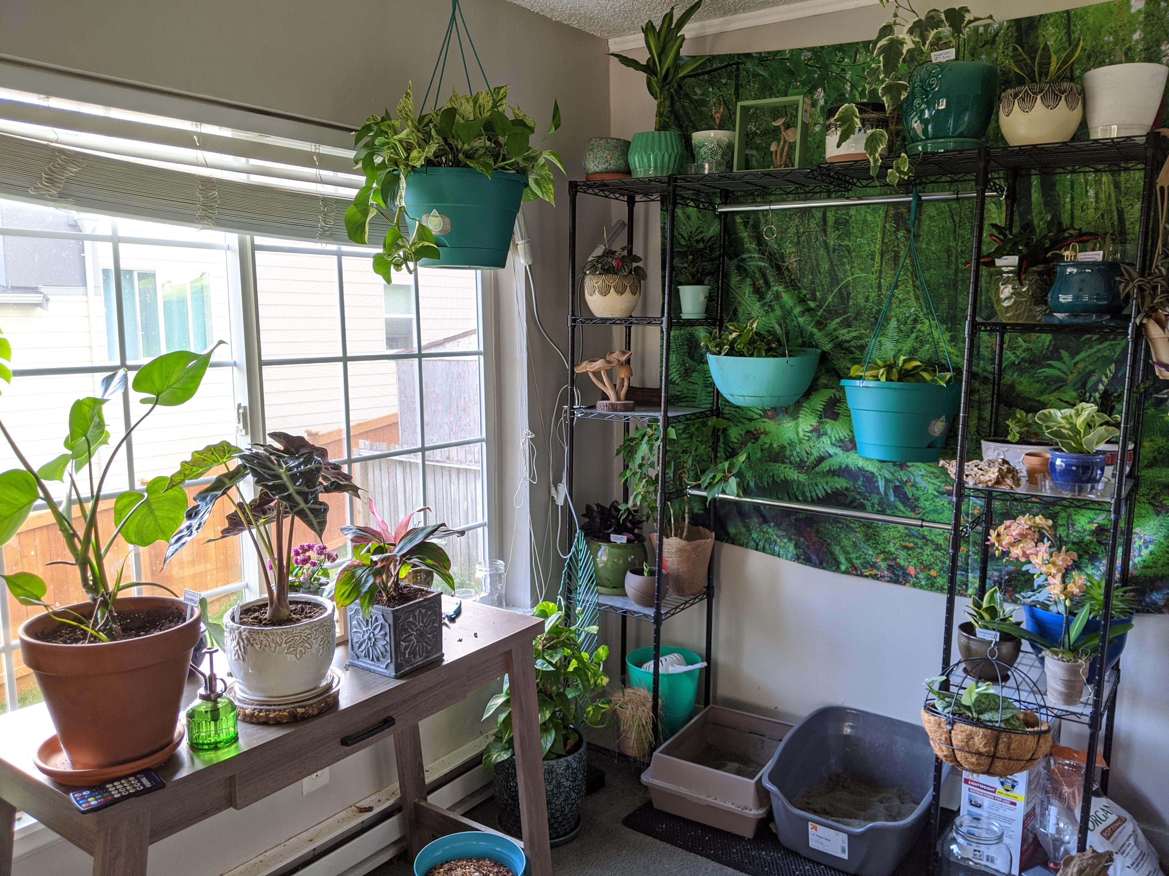 One day I woke up and decided to do away with my infertility woes and