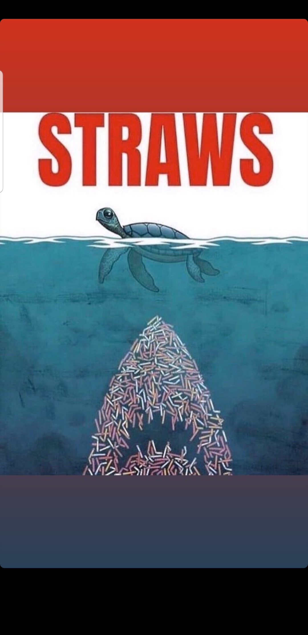 Save The Turtles Meme