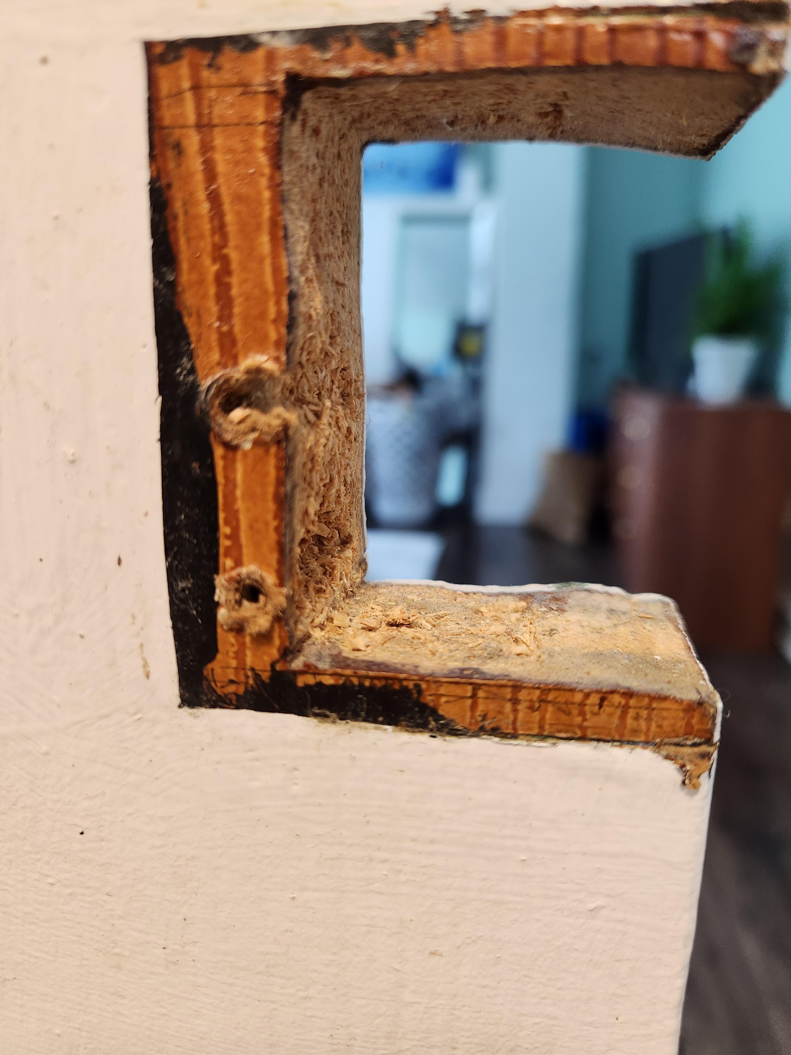 How to repair mdf to accept screw? r/HomeMaintenance