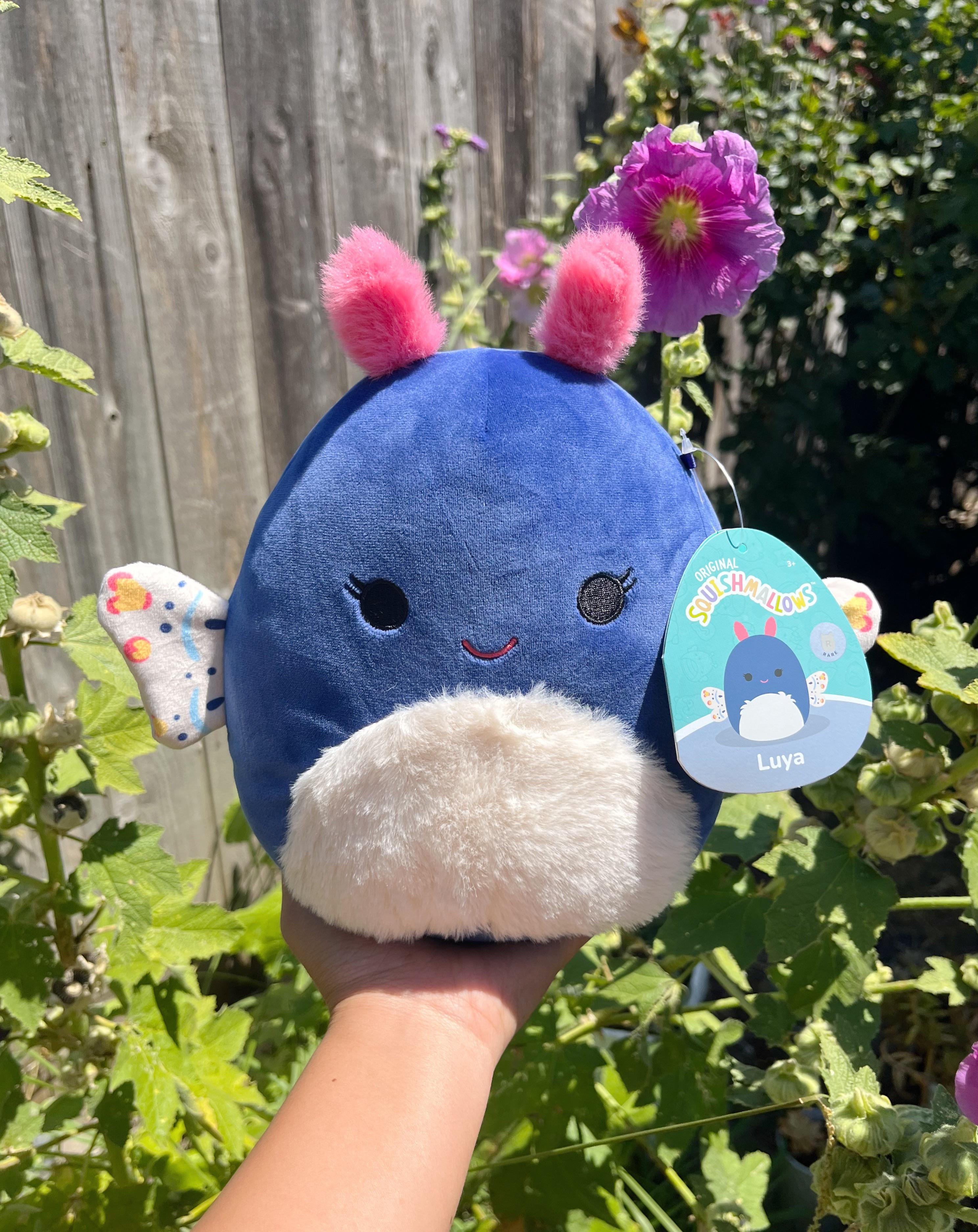Rare squishmallows r/squishmallows