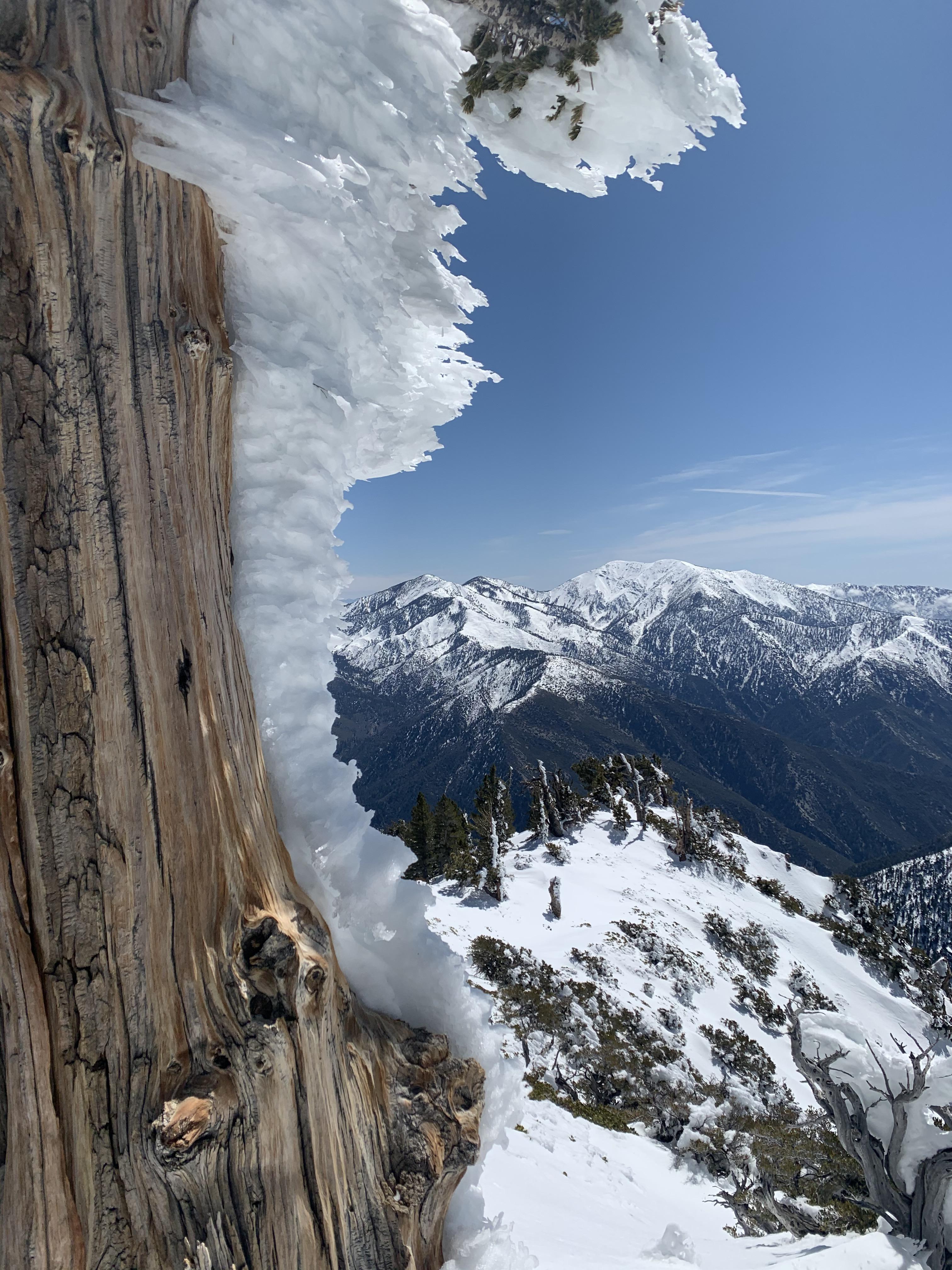 Peak of Mount BadenPowell today! r/socalhiking
