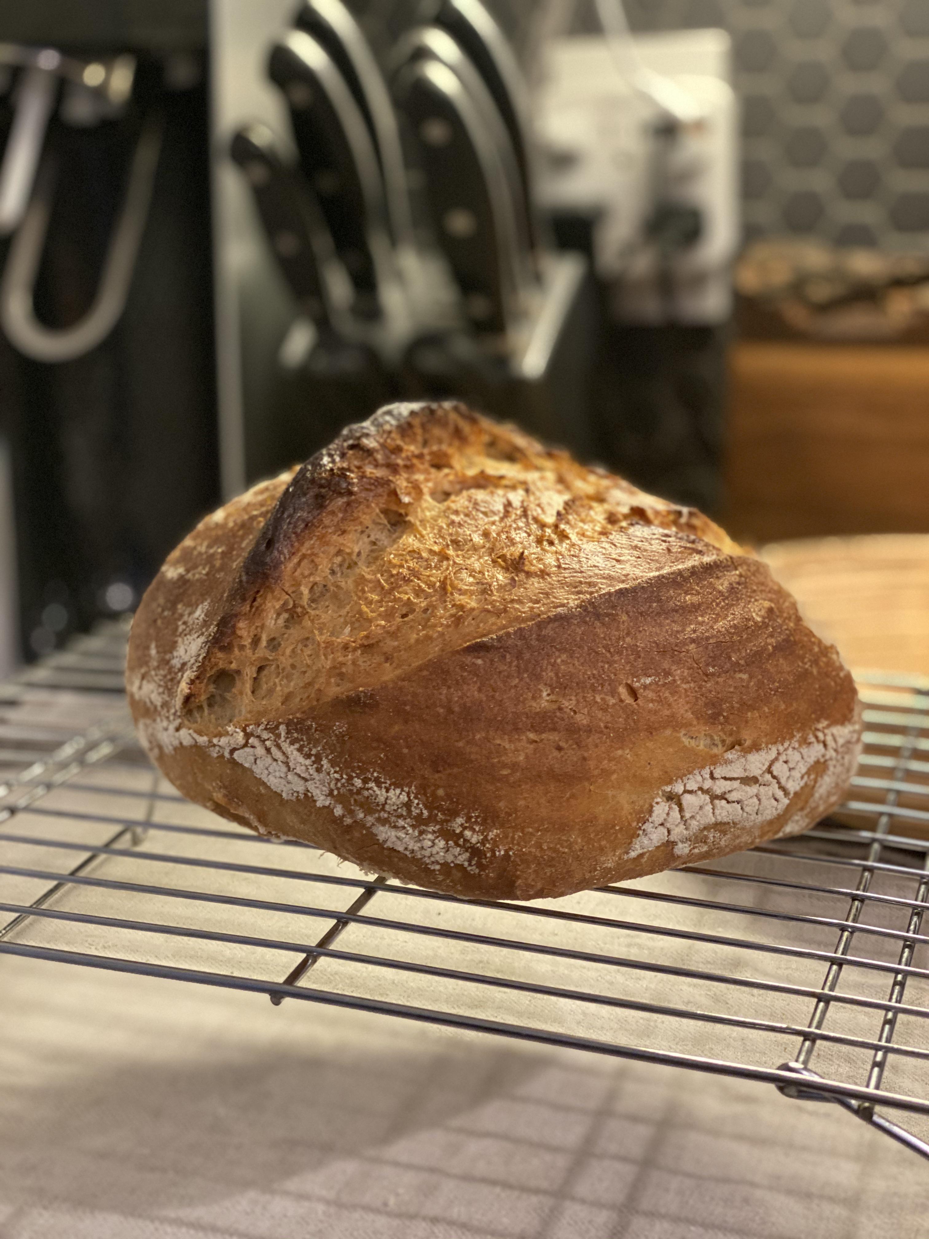 Round oval Dutch oven. Not mad about it. r/Sourdough