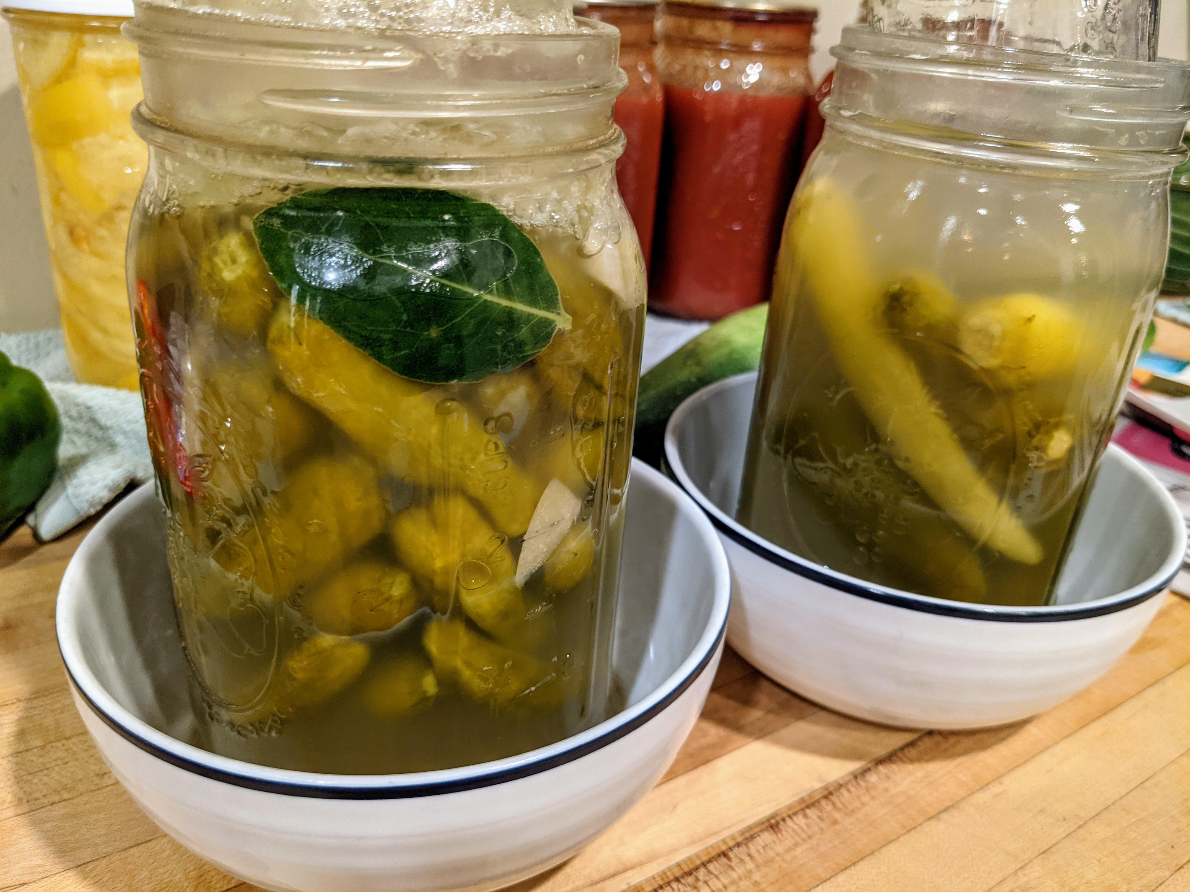 Is it okay? 10 days in and still bubbling. The smell is funky, tangy, and a little like feet