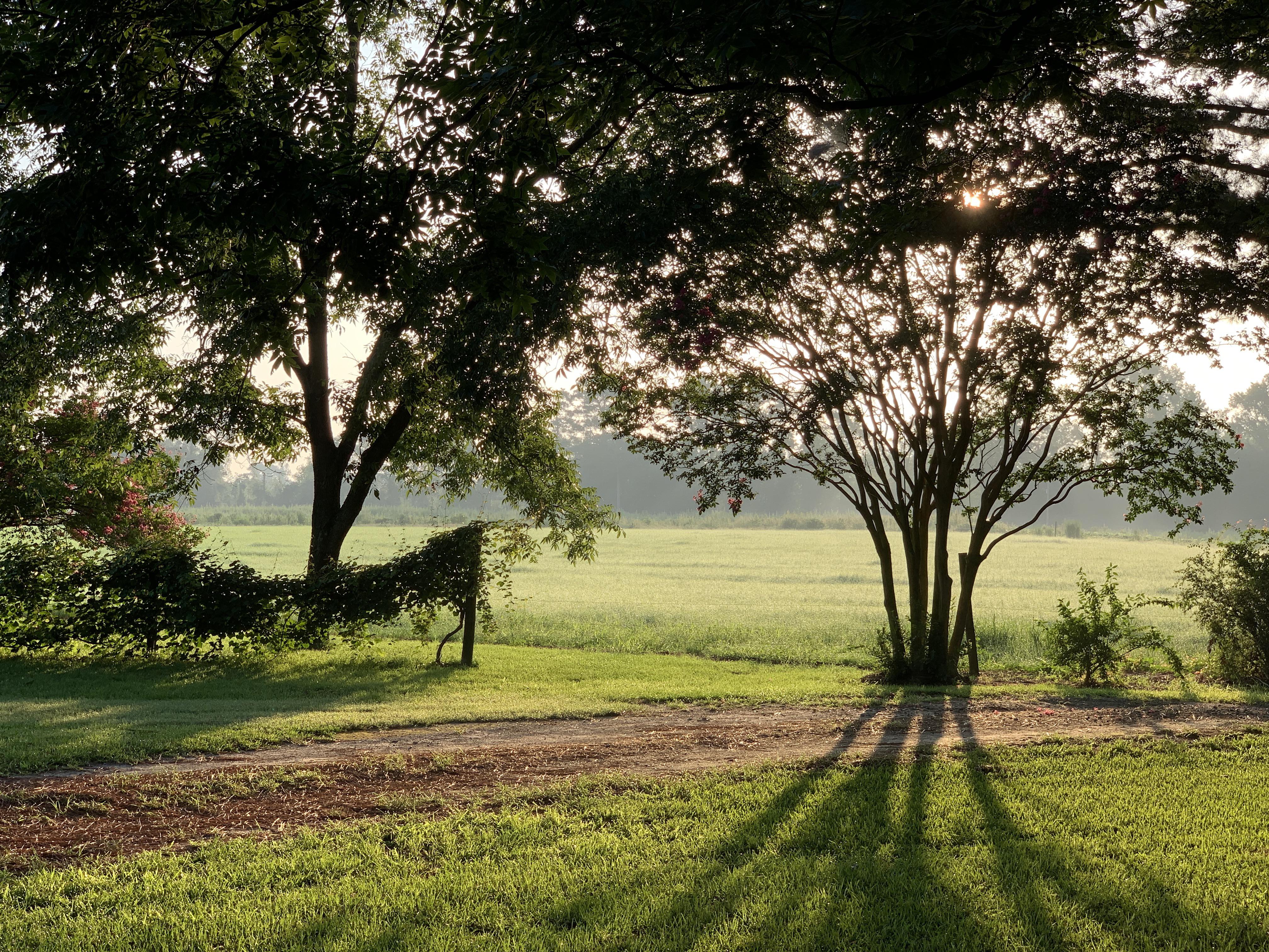 Nice day here at Triple Creek Farm in Pink Hill, NC r/NorthCarolina