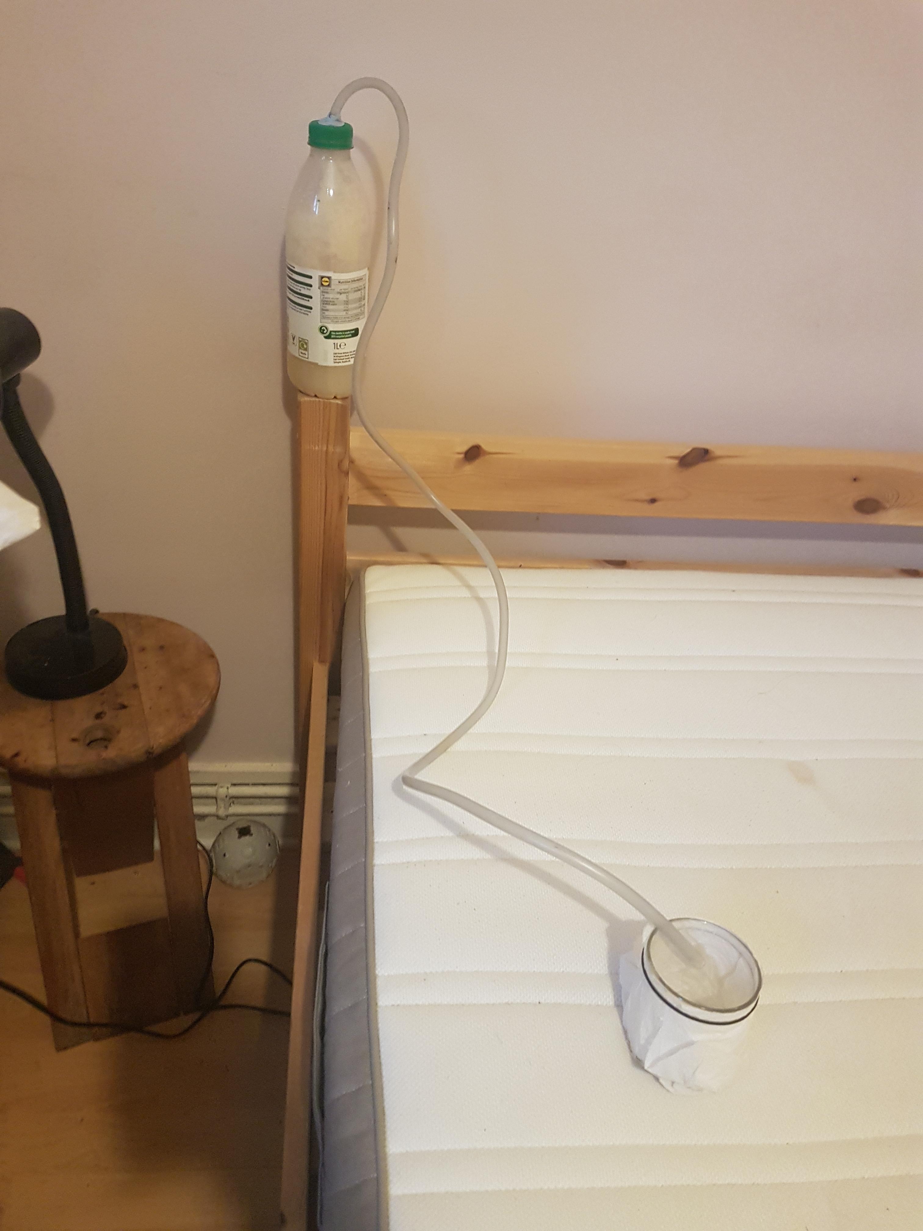 Yeast trap a failure ? r/Bedbugs