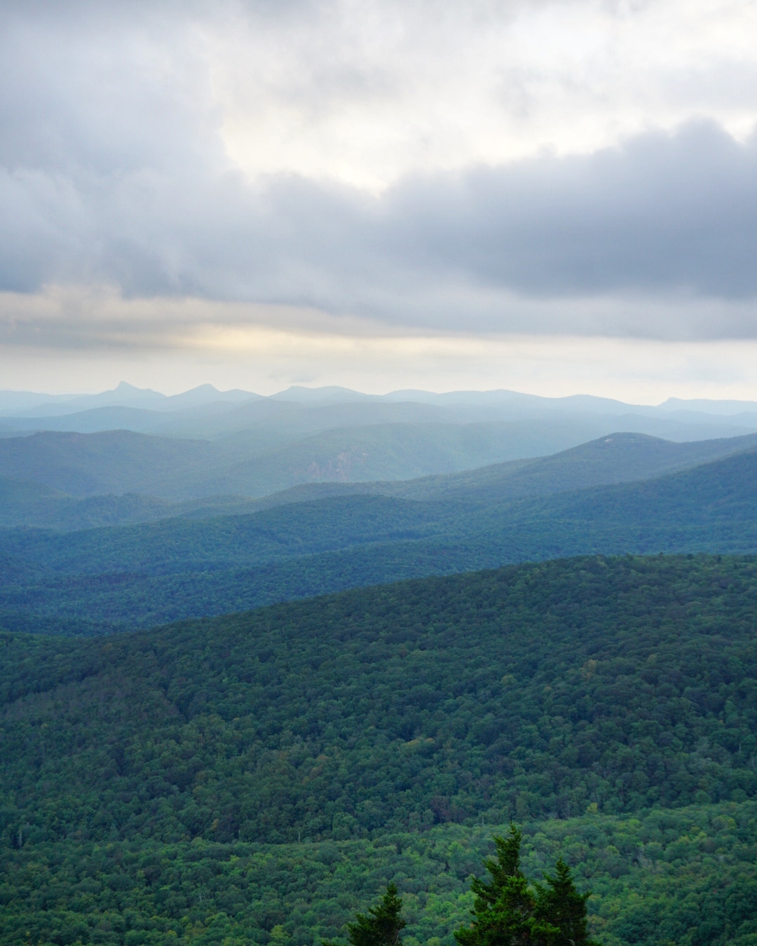 The blue ridge mountains in NC. [OC 1080x1350] r/EarthPorn