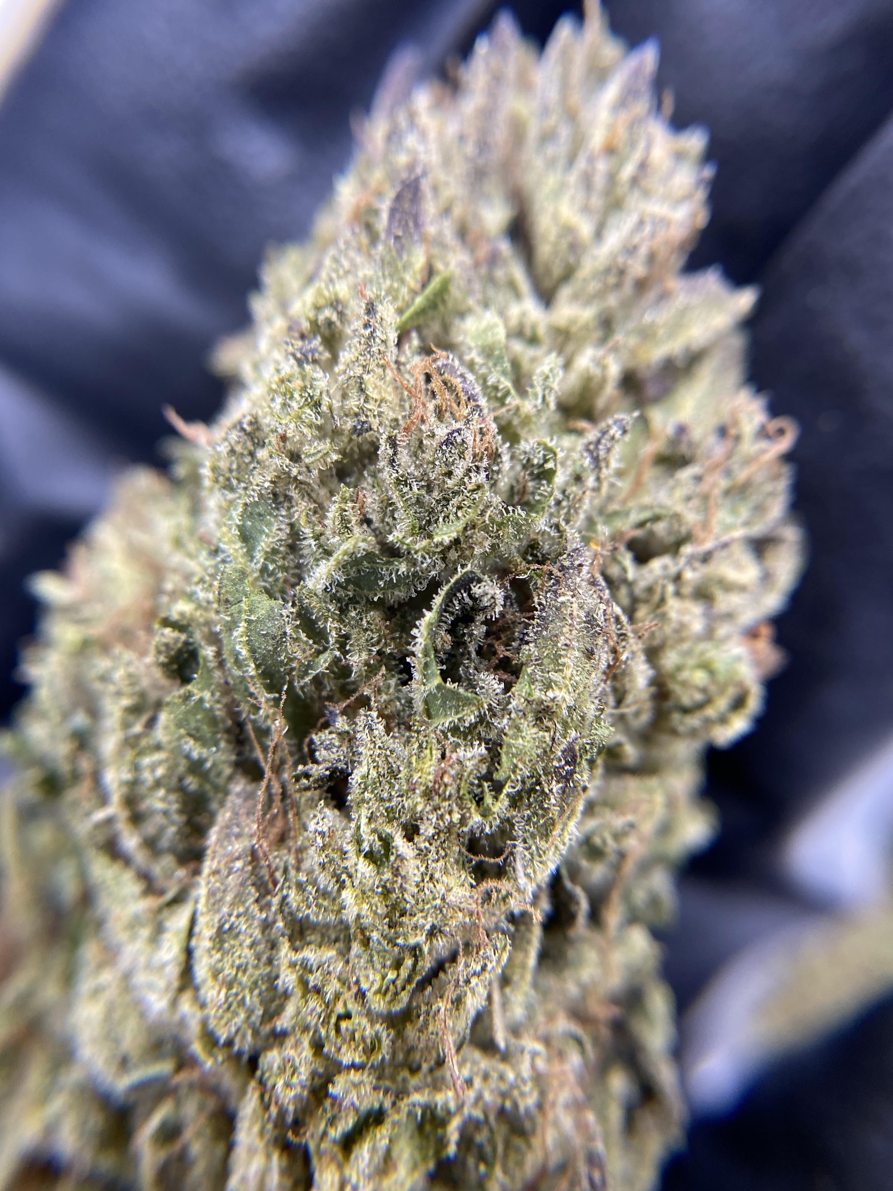 Do Cbd Pods Show On Drug Test Reddit The Value Of Legal