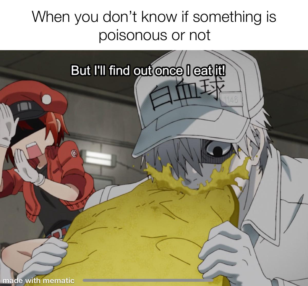 Cells At Work is a great anime memes