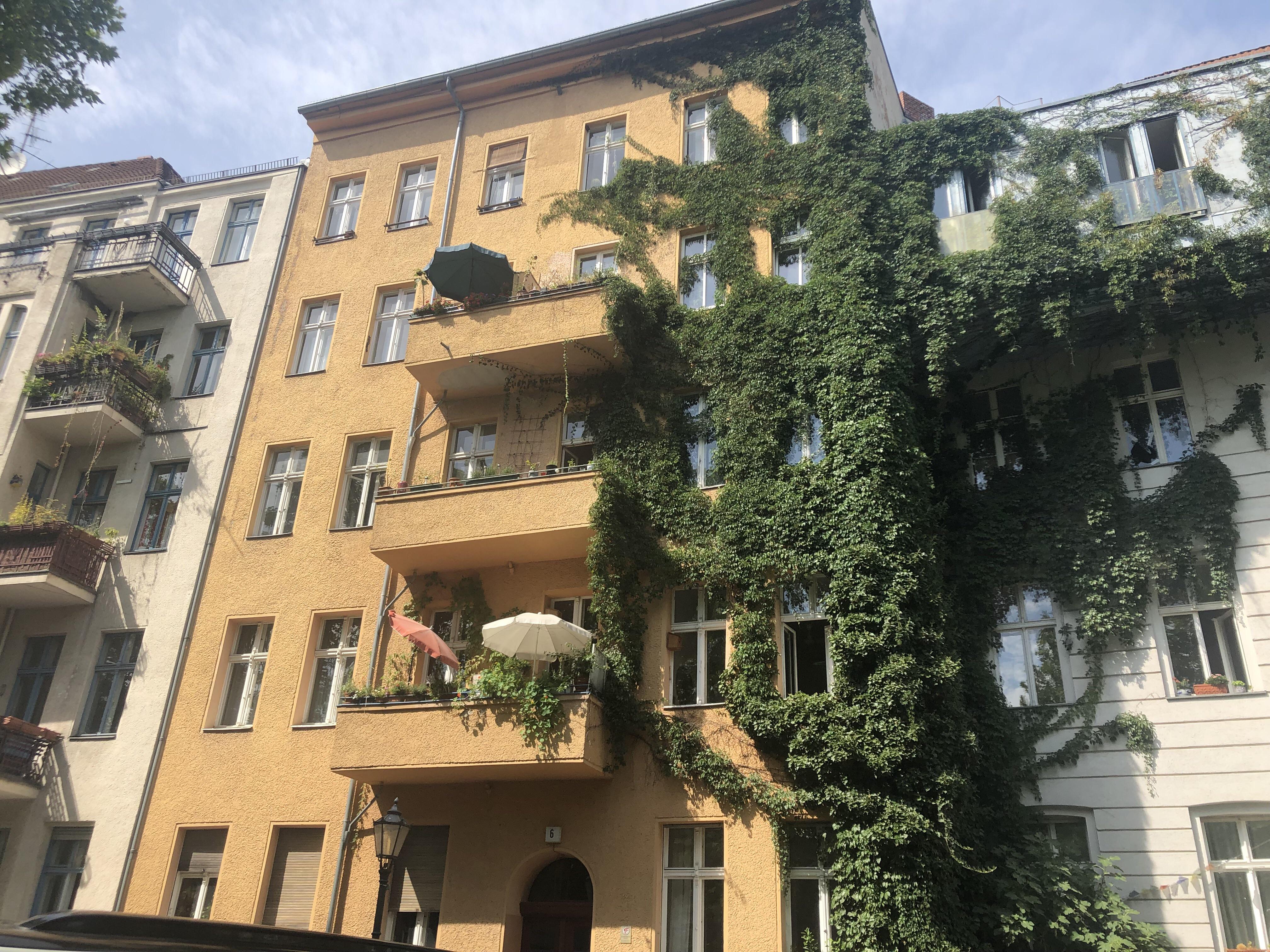 Plants r/berlin