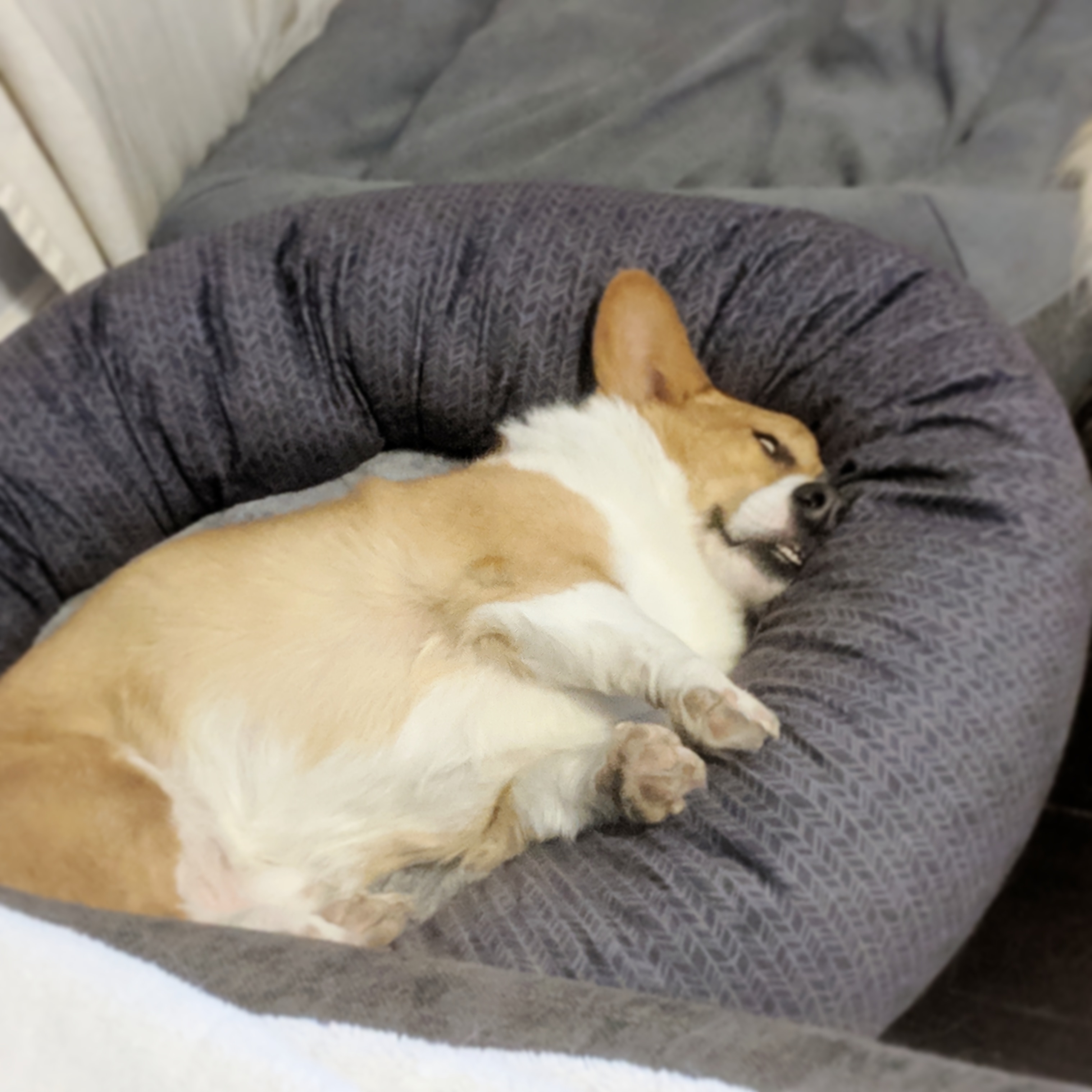 Mom Don't eat too much Turkey 🍗 Also me 😬