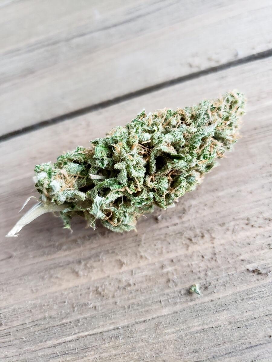 Finally got my Green Poison harvested and trimmed. Now trying to be as