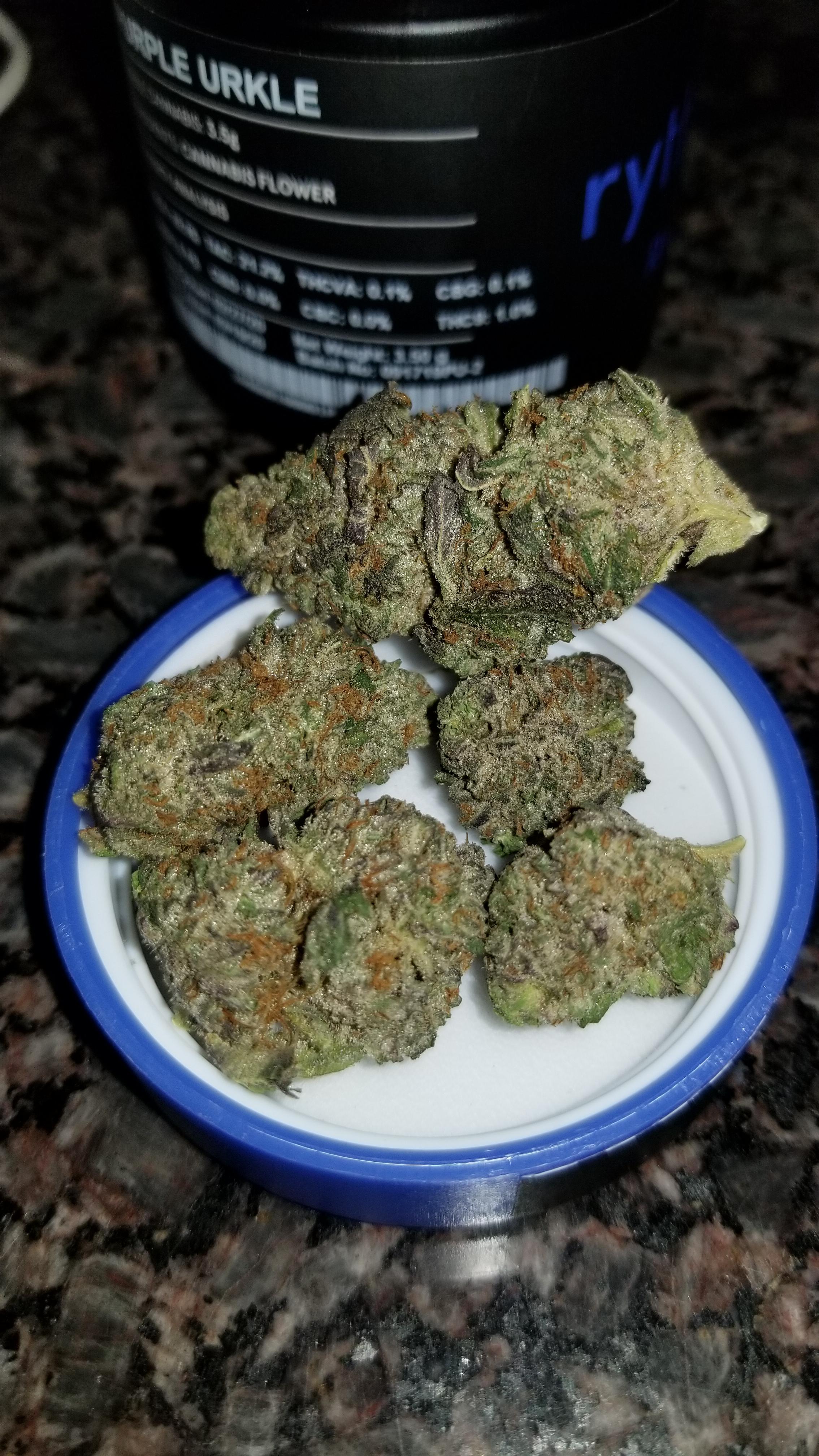 Purple Urkle Strain