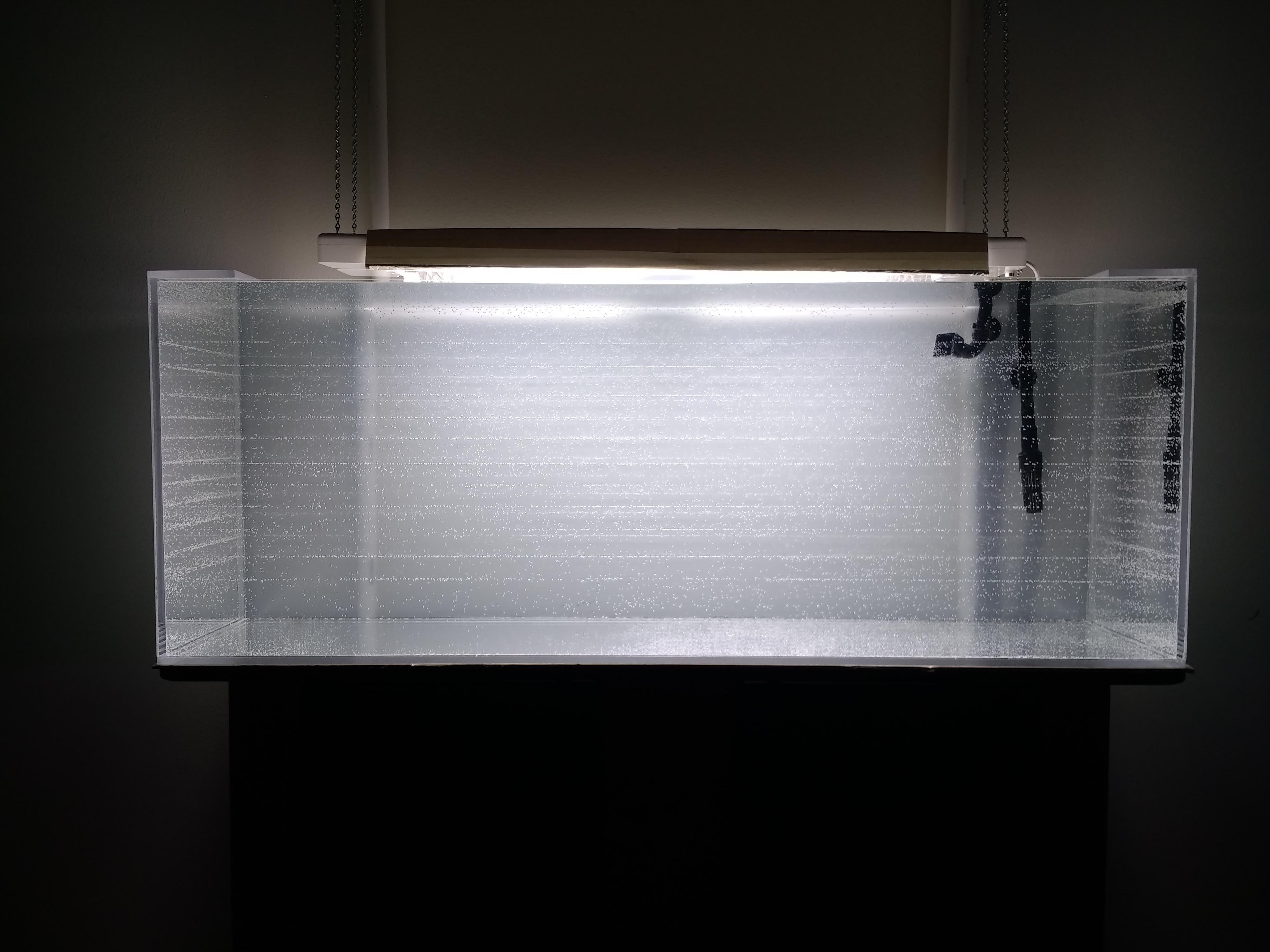 Full capacity water test of DIY acrylic aquarium is finally successful
