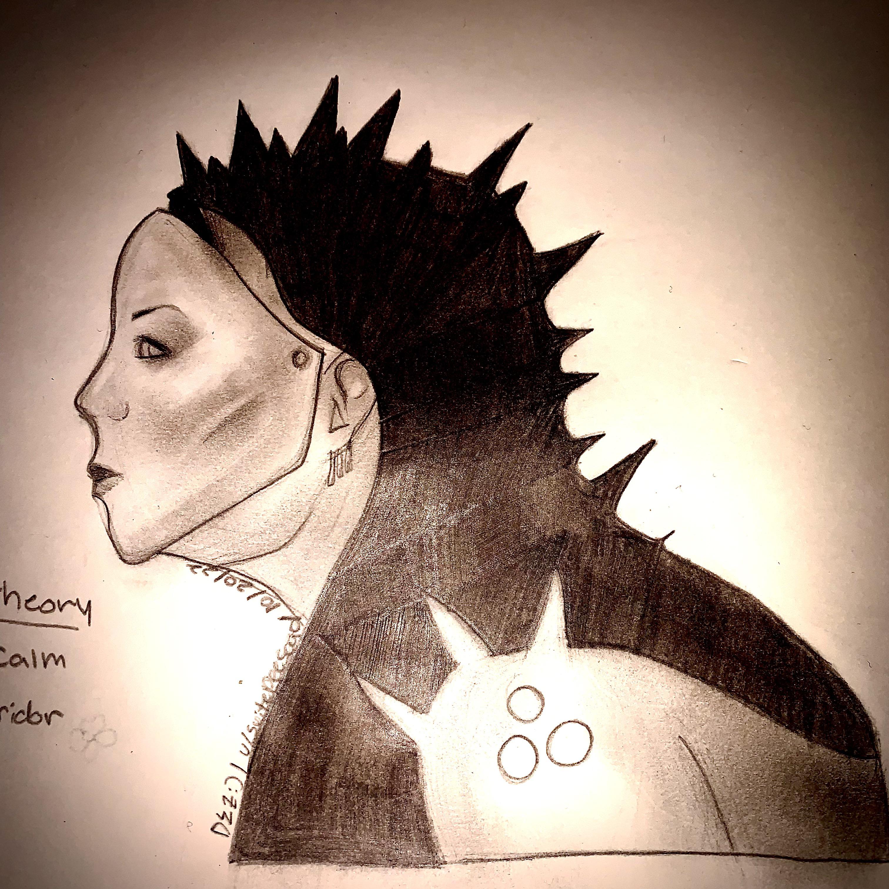 a poorly drawn The Blank Theory Beyond The Calm Of The Corridor album