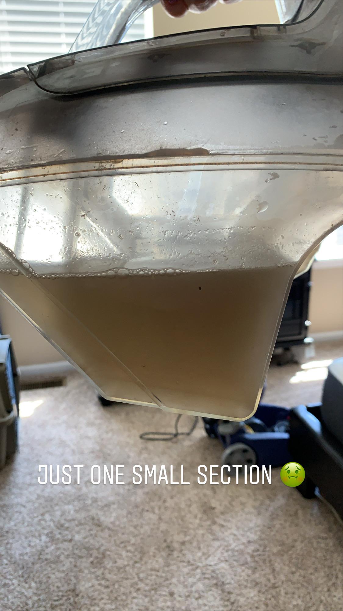 It’s carpet cleaning weekend! r/CleaningTips