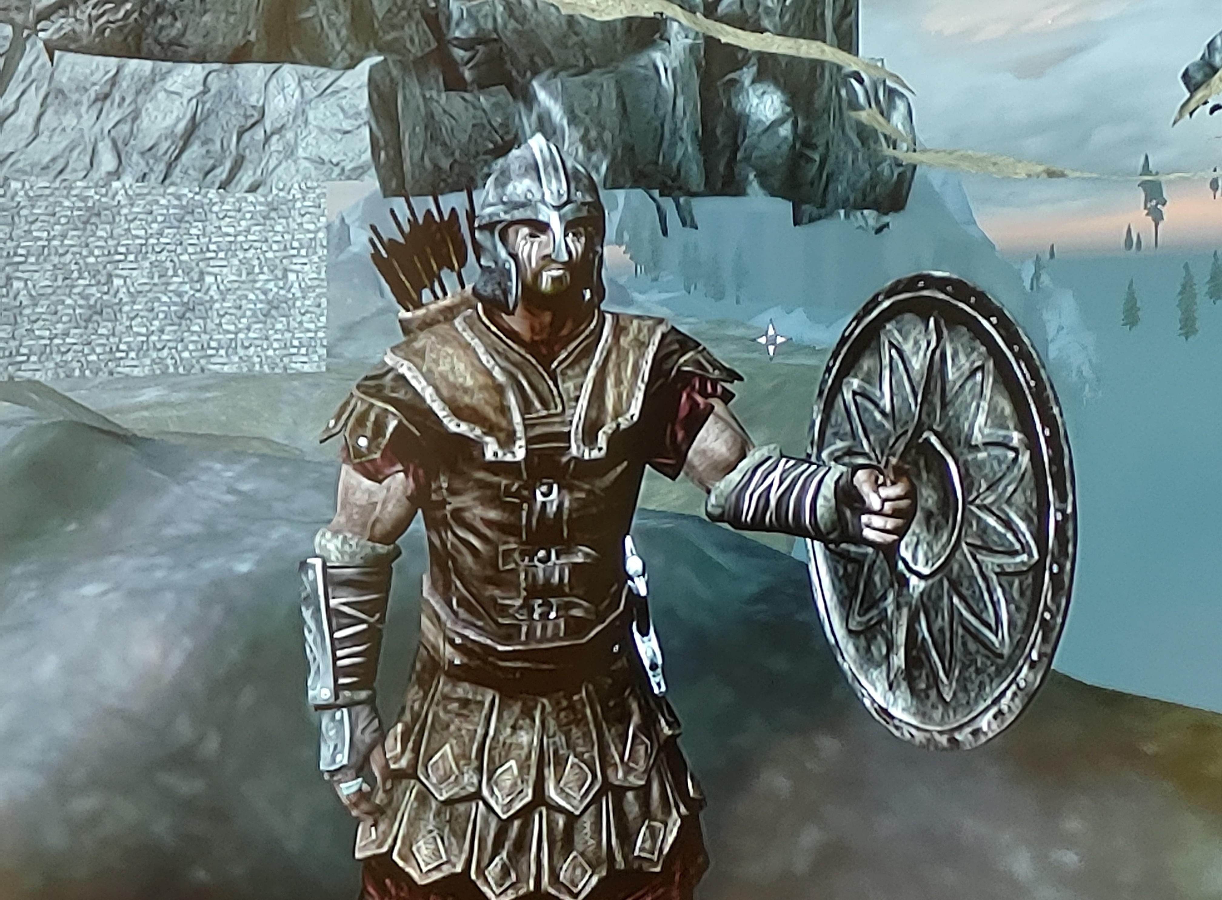 How to properly hold a shield r/skyrim