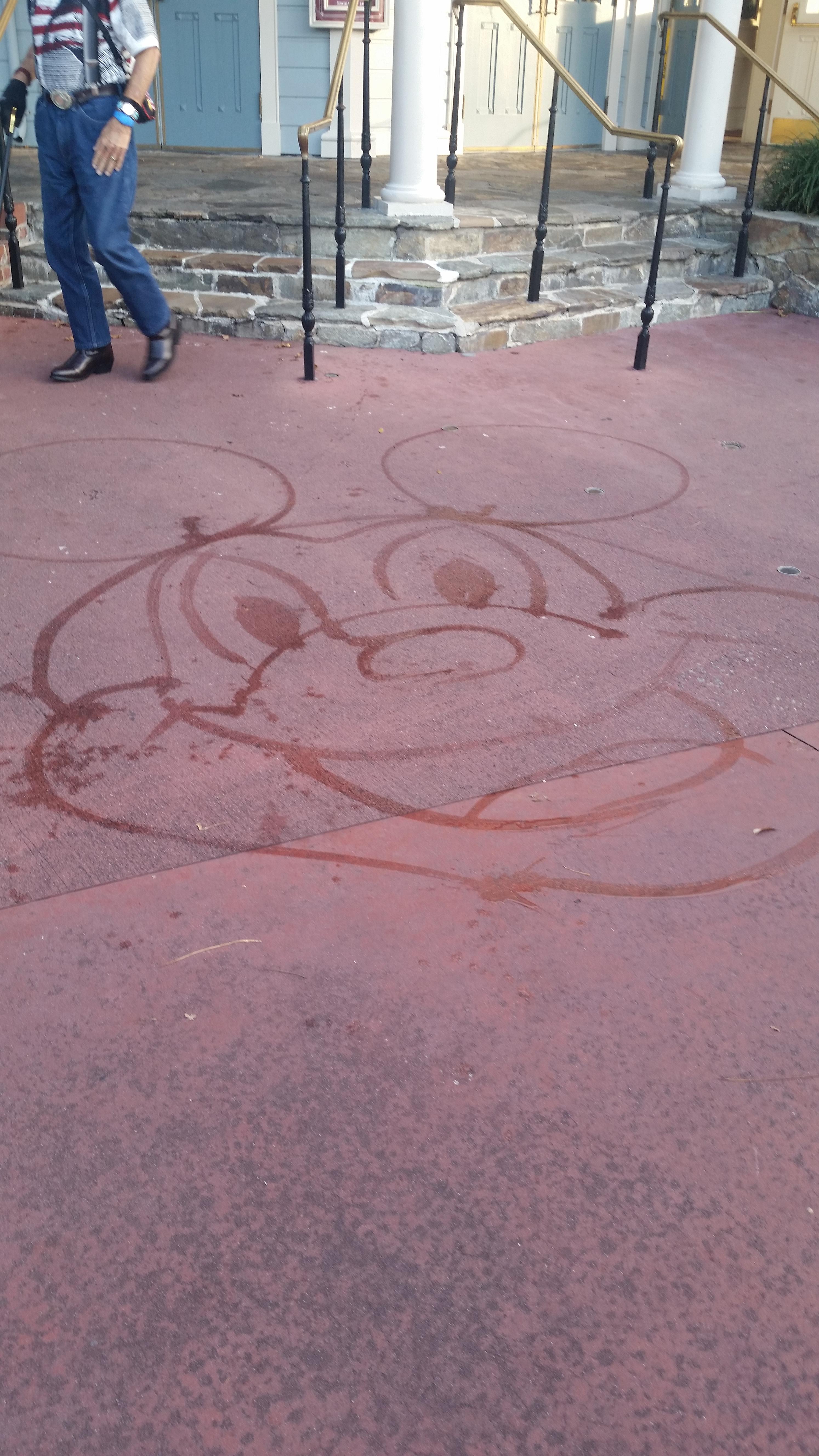 When the janitors at disney world do this i get happy pics