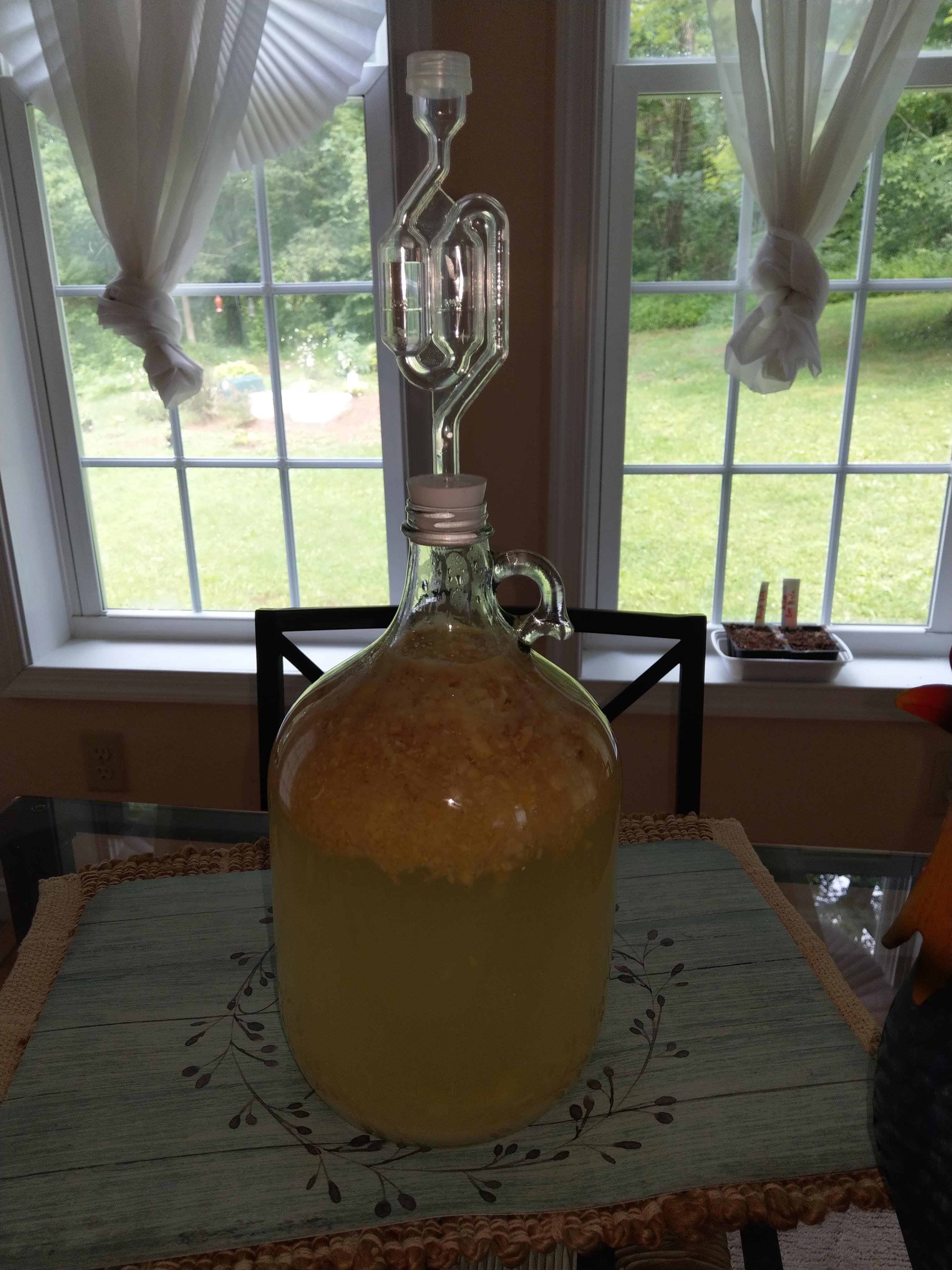 First attempt at making ginger beer so probably going to be a fail but