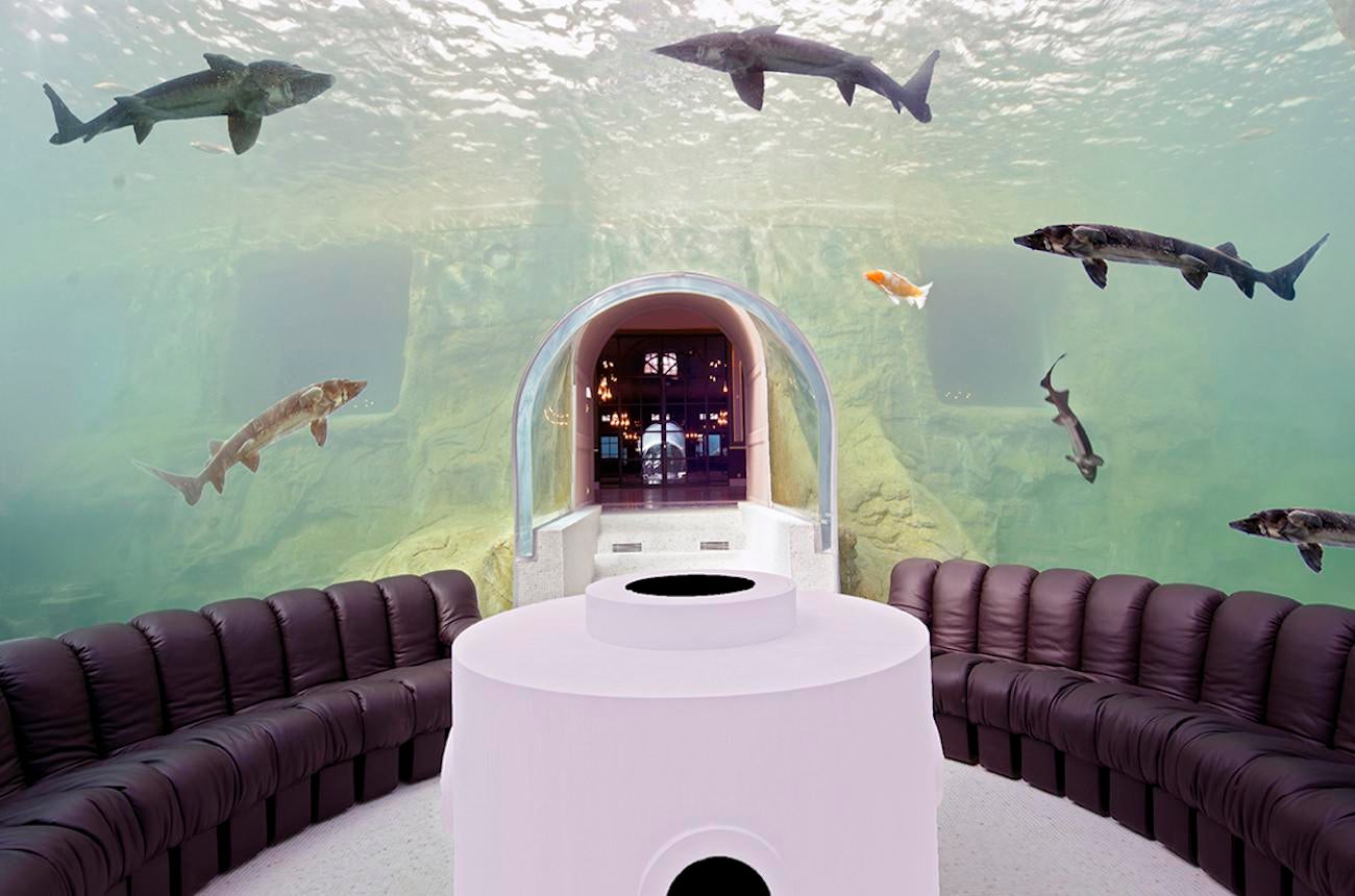 The Moat Room A transparent underwater chamber with Sturgeon and Koi