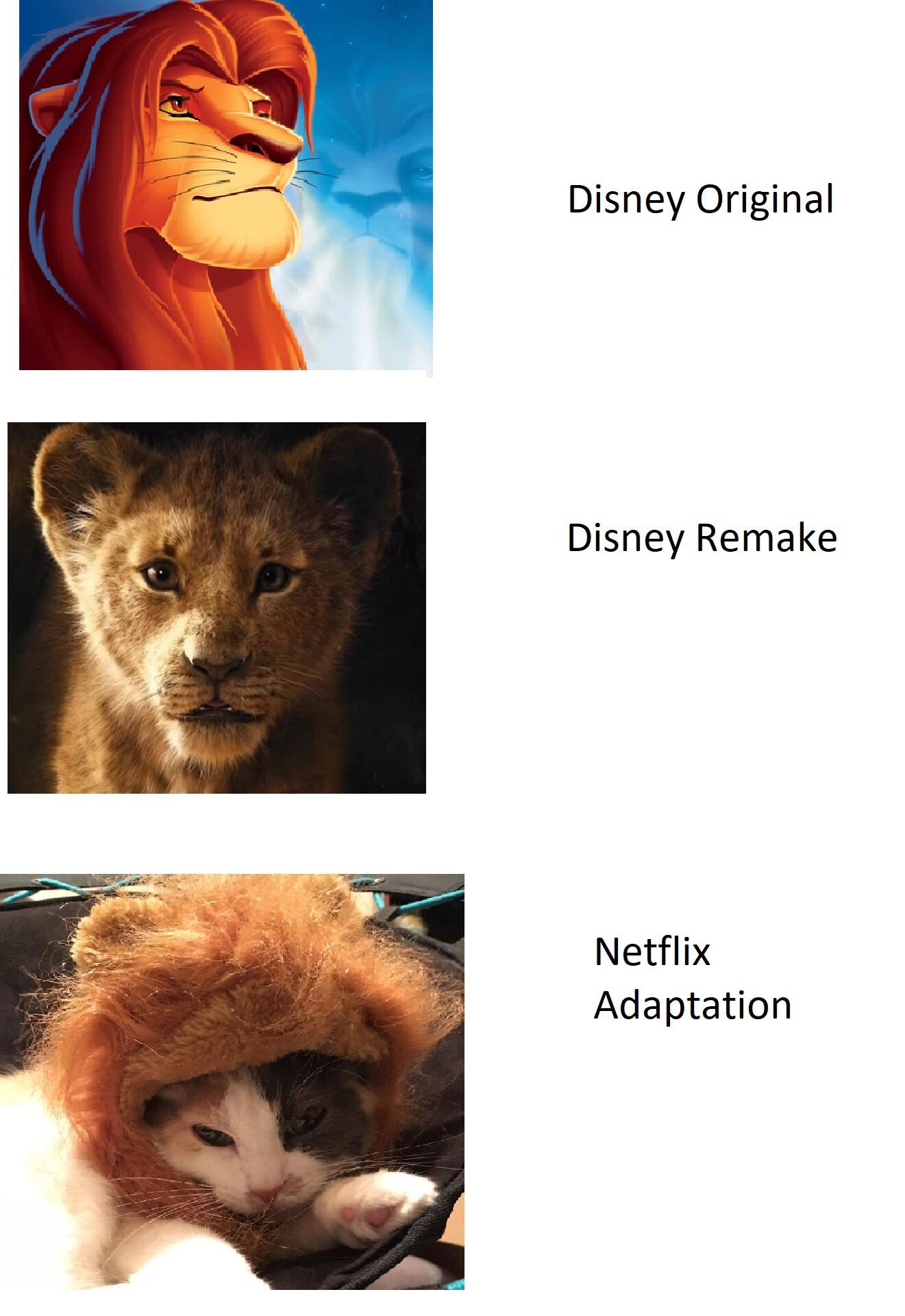 Netflix Adaptation of Lion King r/disney