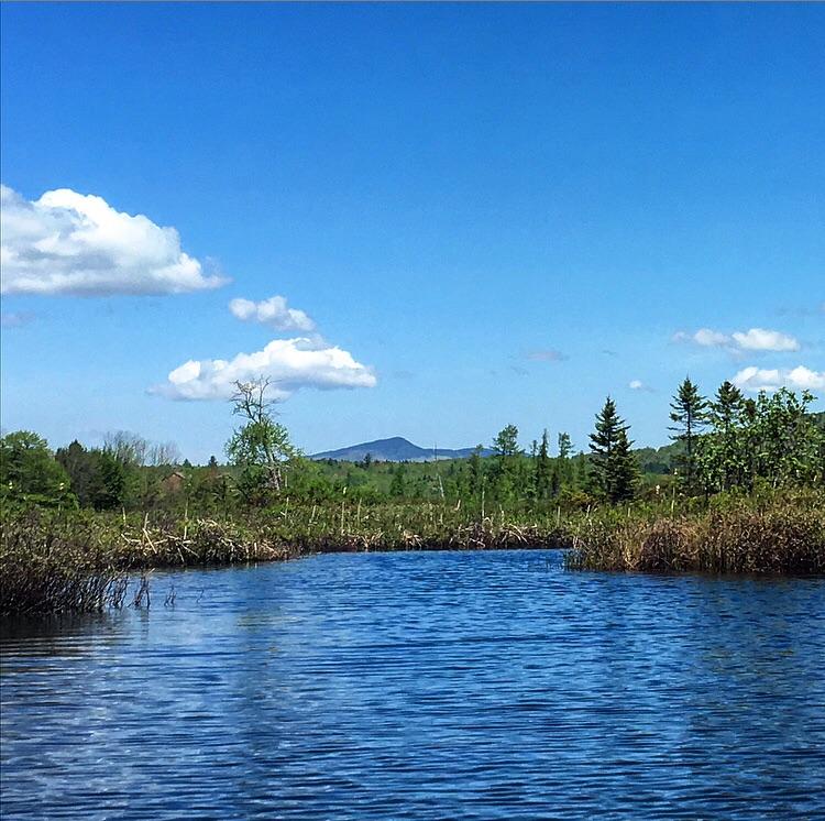 Spent Memorial Day paddling on Sadawga Lake, Whitingham r/vermont