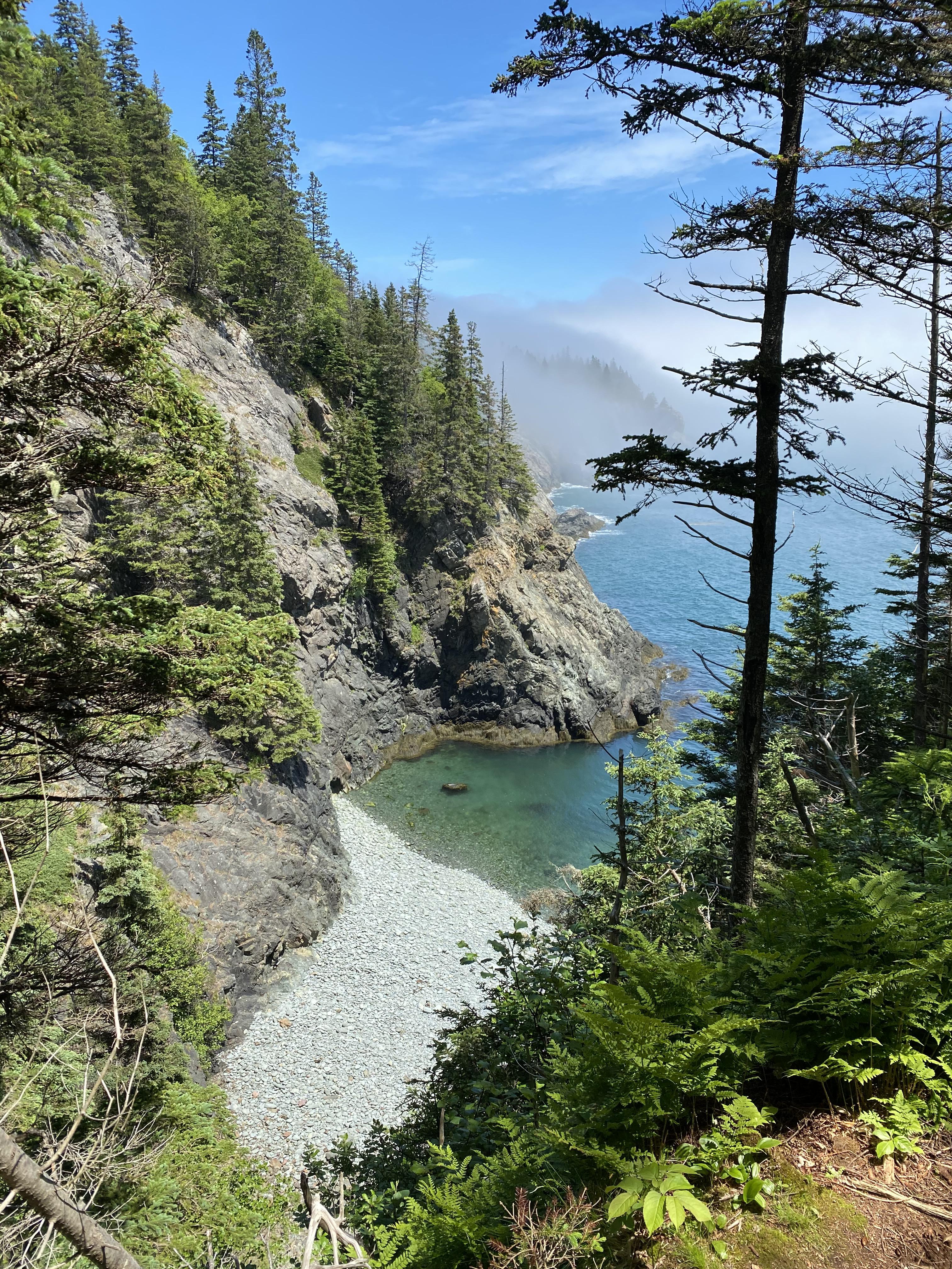 Took my dog hiking at Cutler Coast Reserved Land in Maine, USA