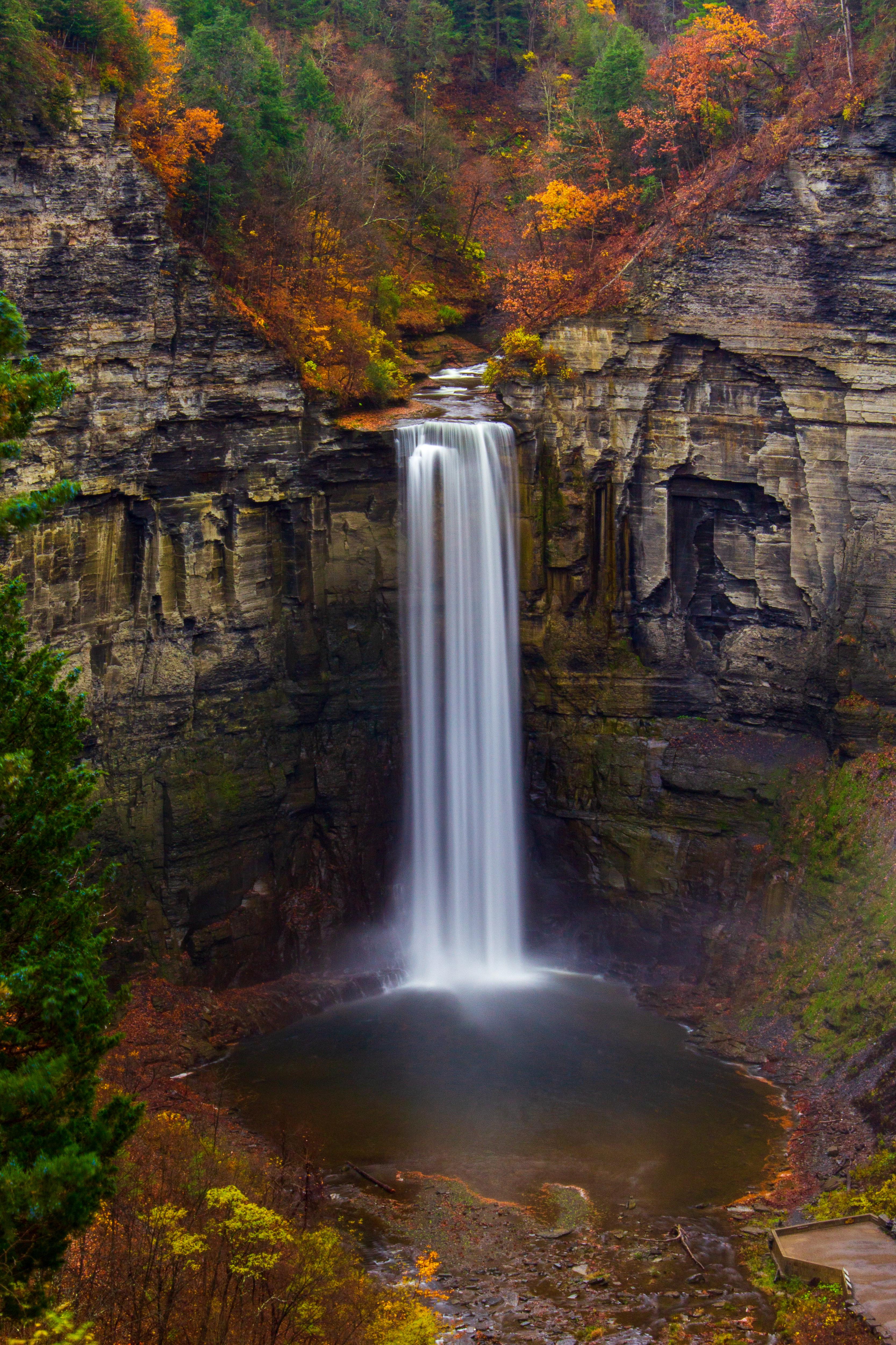 A Rainy Day of Waterfalls, Finger Lakes Region, NY [OC] [3334x5000] r