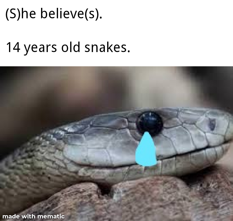 Sad snake noises. r/memes