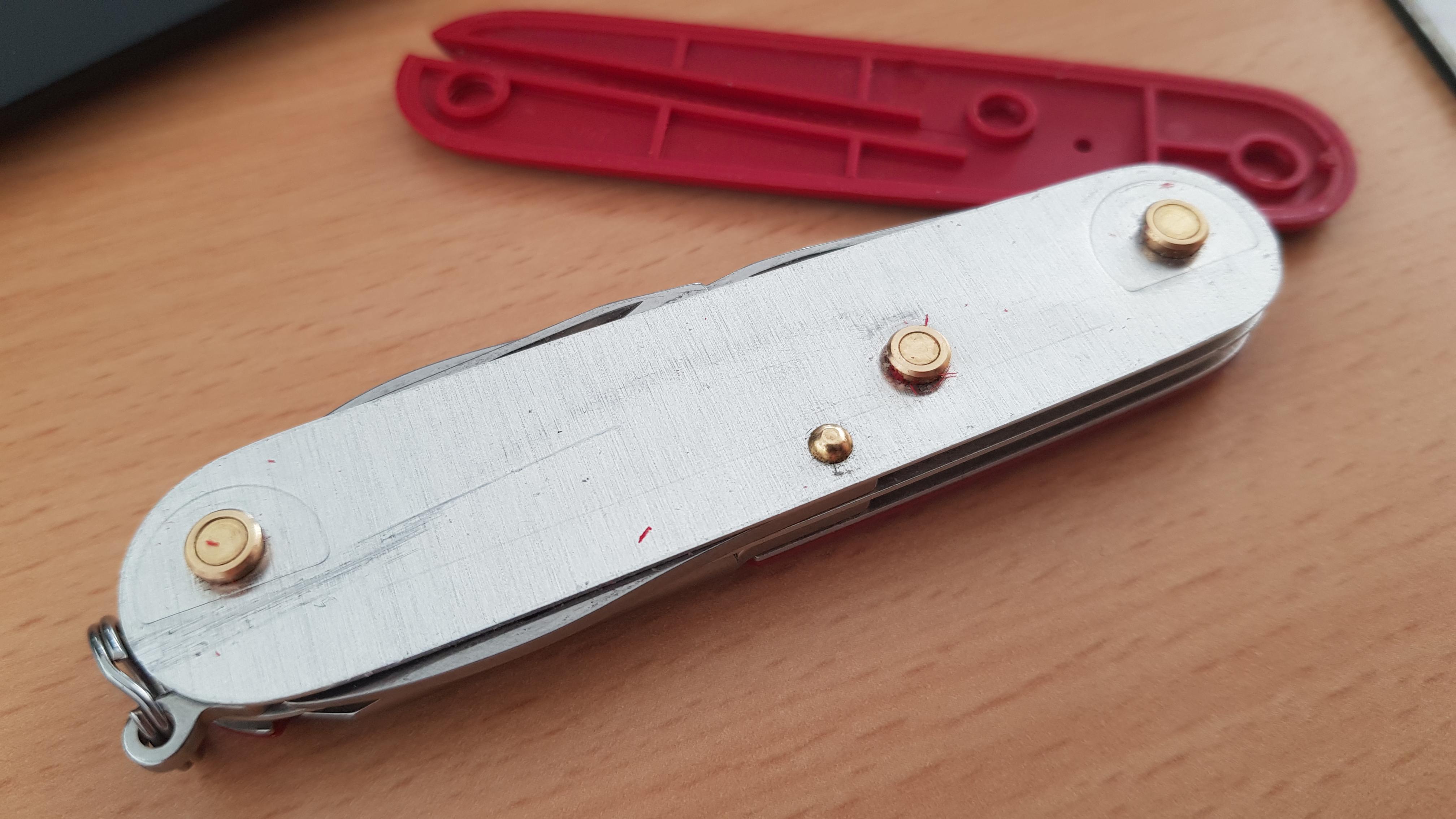 Hi, my scales are really loose and keep coming off. Should i contact