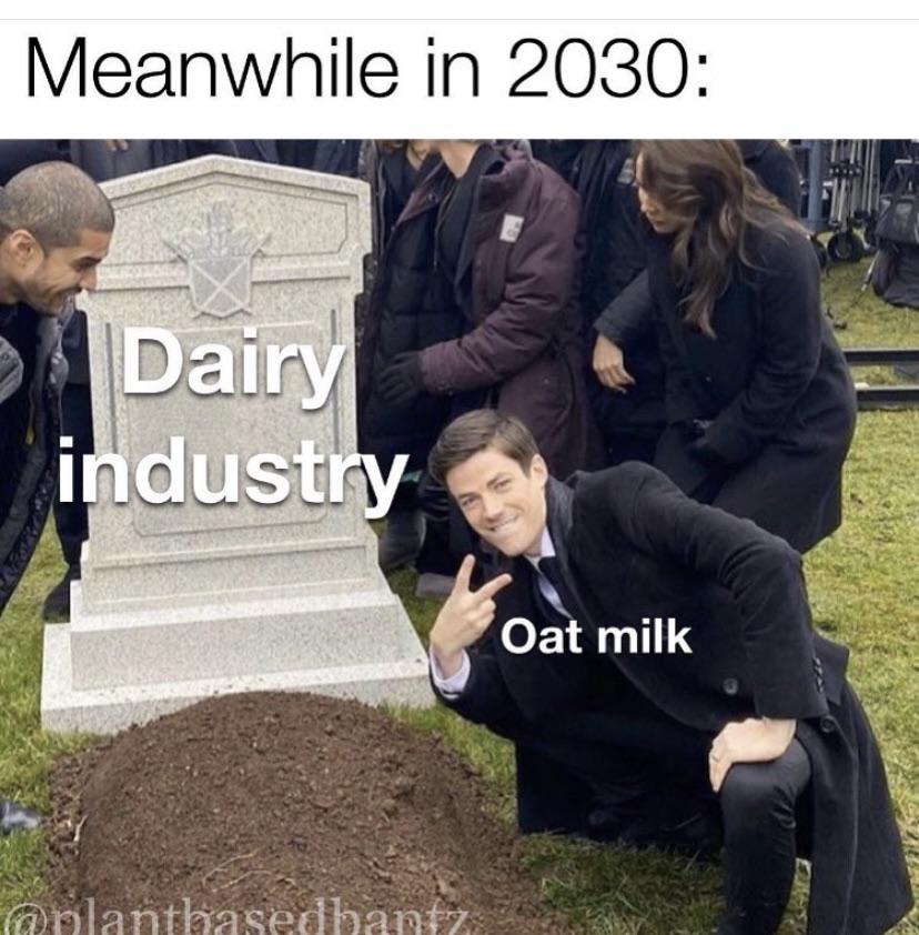 Best Oat Milk Posts Reddit